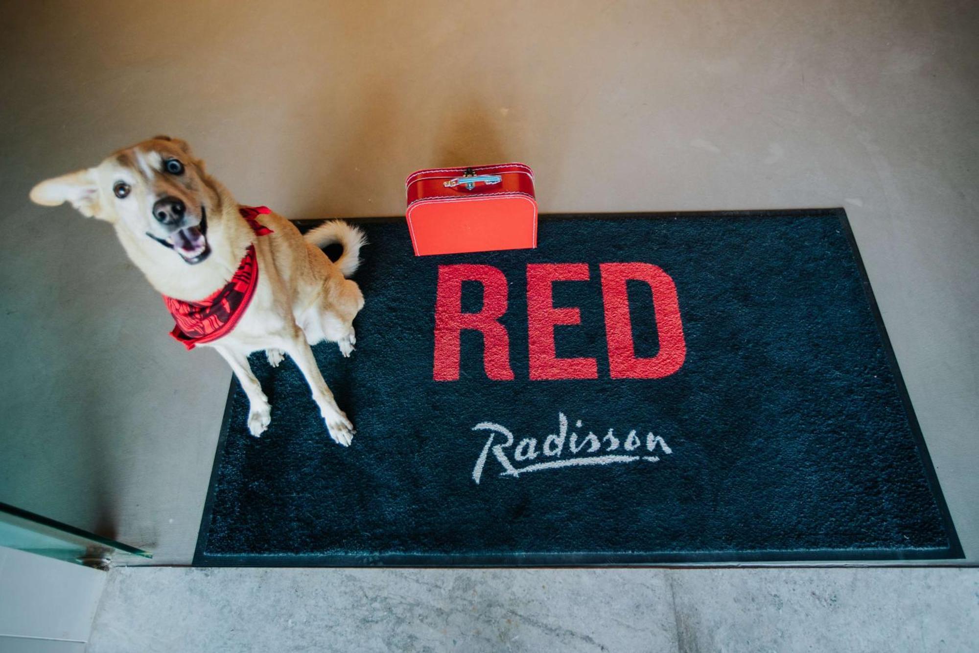 Hotel Radisson Red Silicon Oasis 4*
