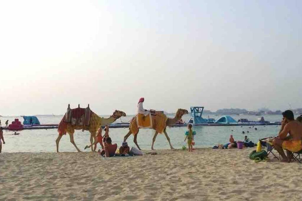 Your Scenic Dream Vacation