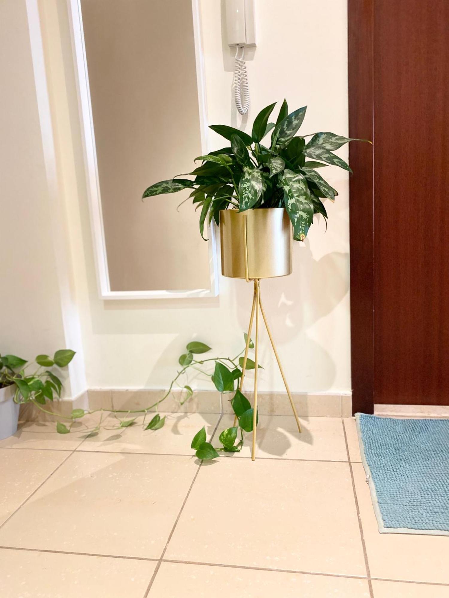 Charming Spacious In The Heart Of Jbr By Sweet Homes *