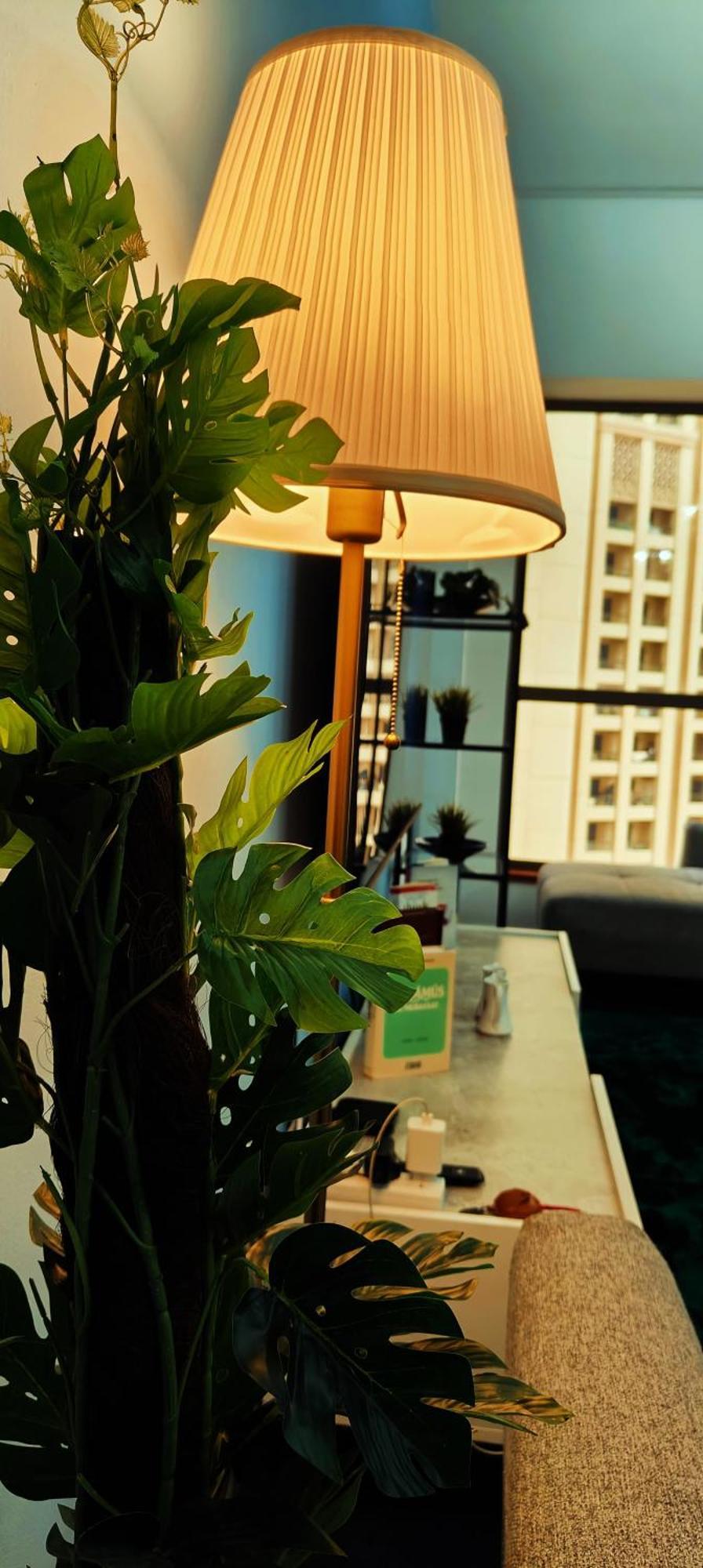 Seaside Hostel *