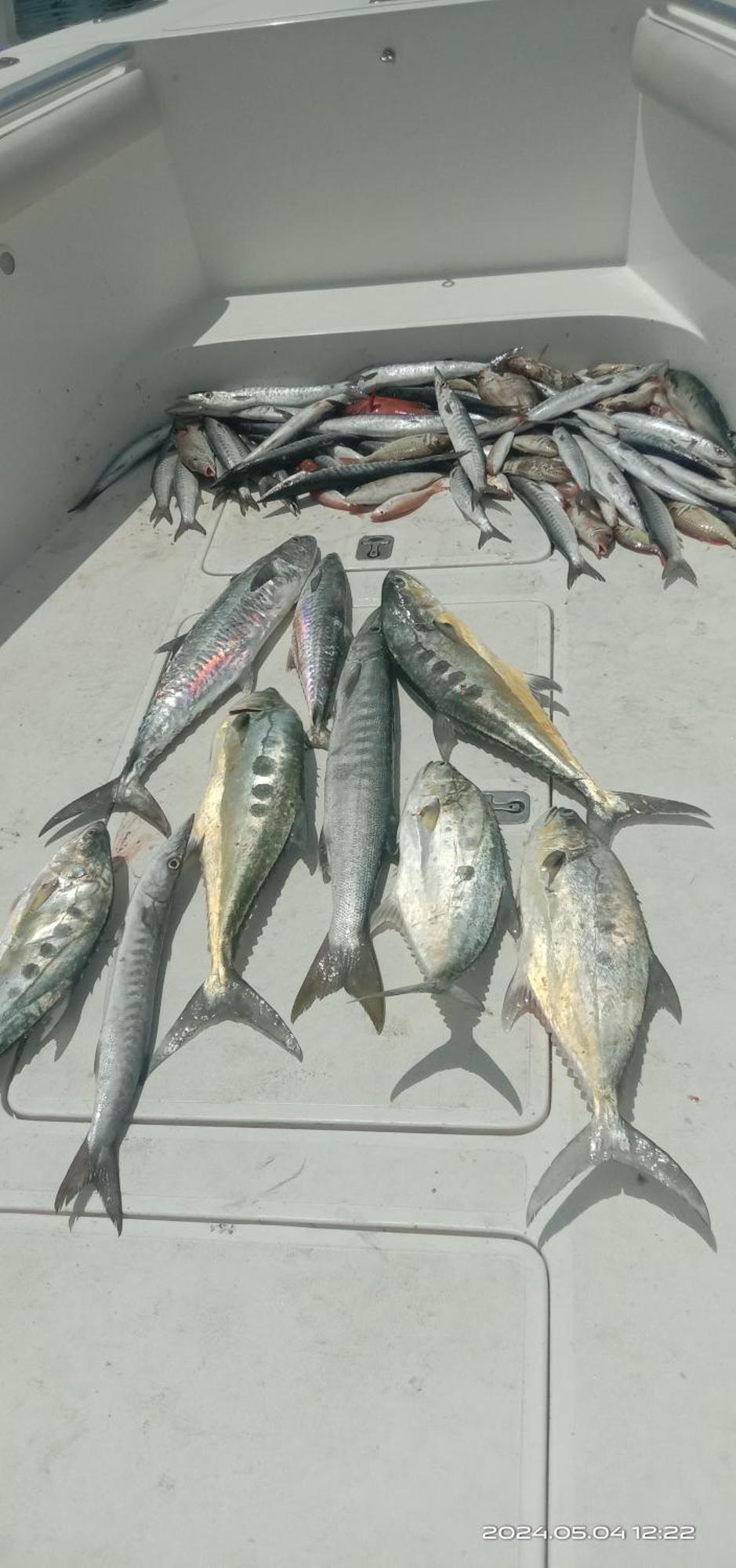 Fishing Trip 5