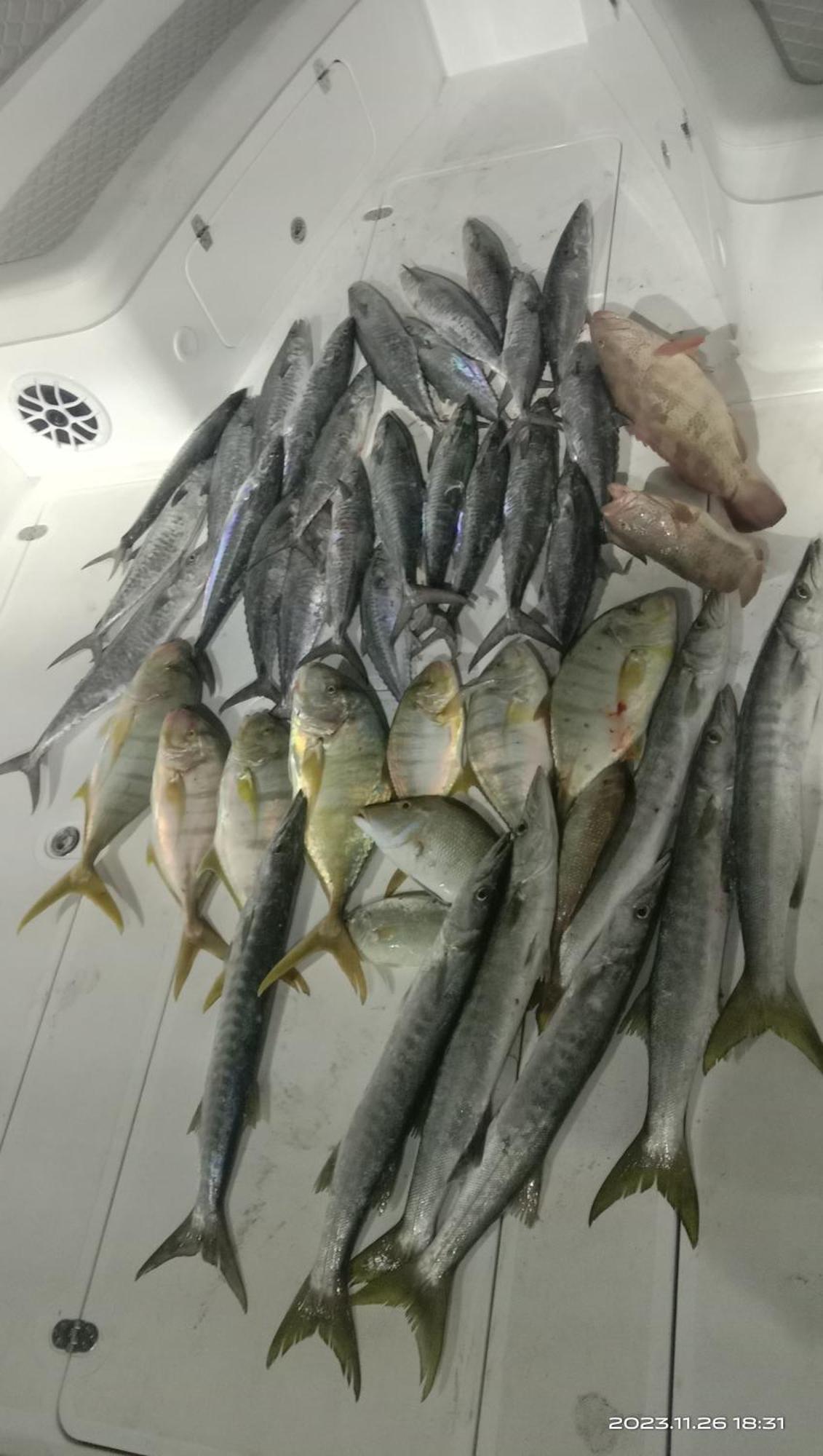 Fishing Trip 5 * Dubai