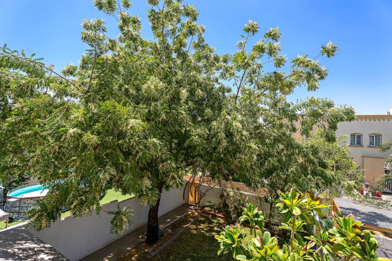Whole 3 Bedroom With Maids House - The Springs - Privat Garden Dubai