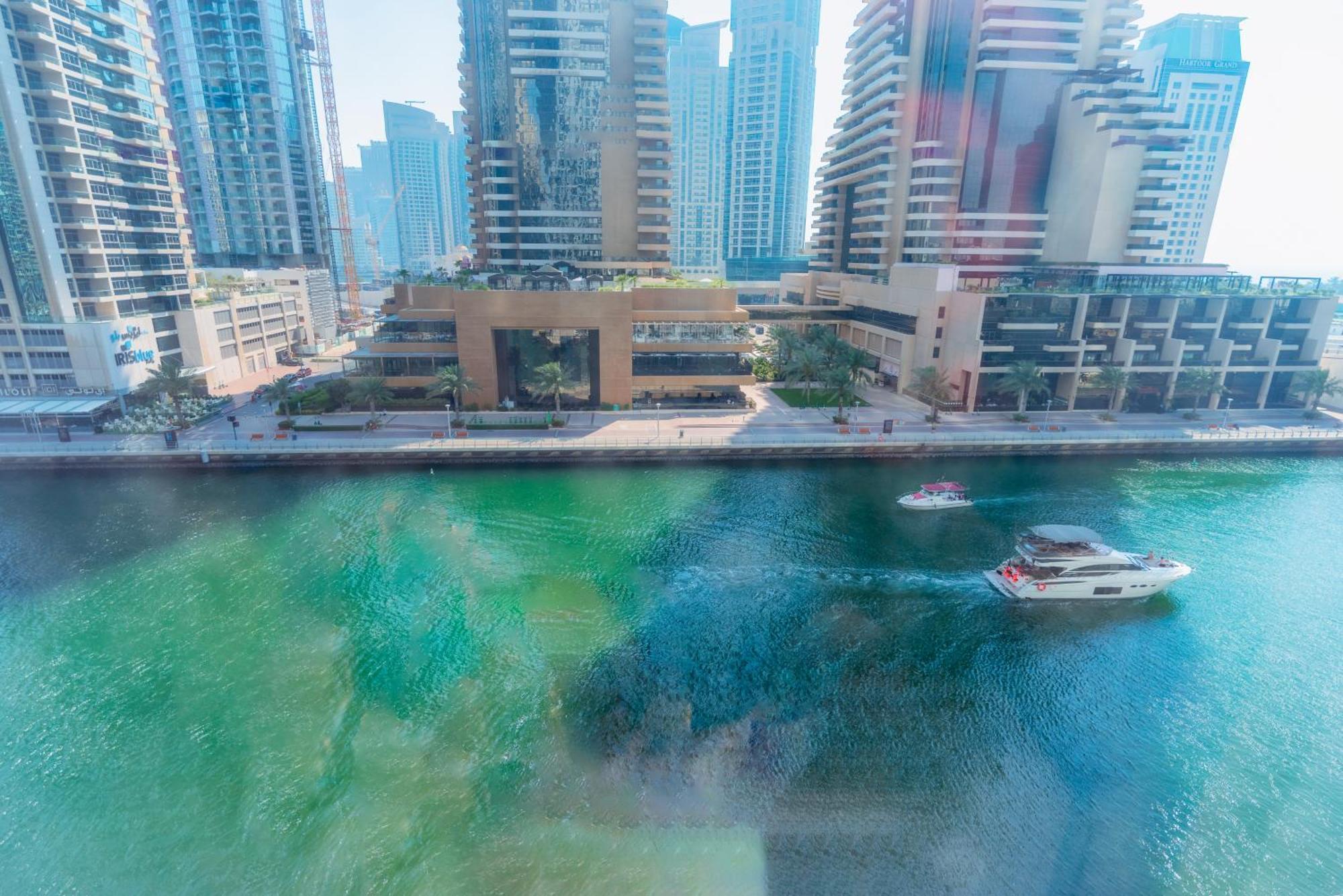 Cayan Tower - Of Choice