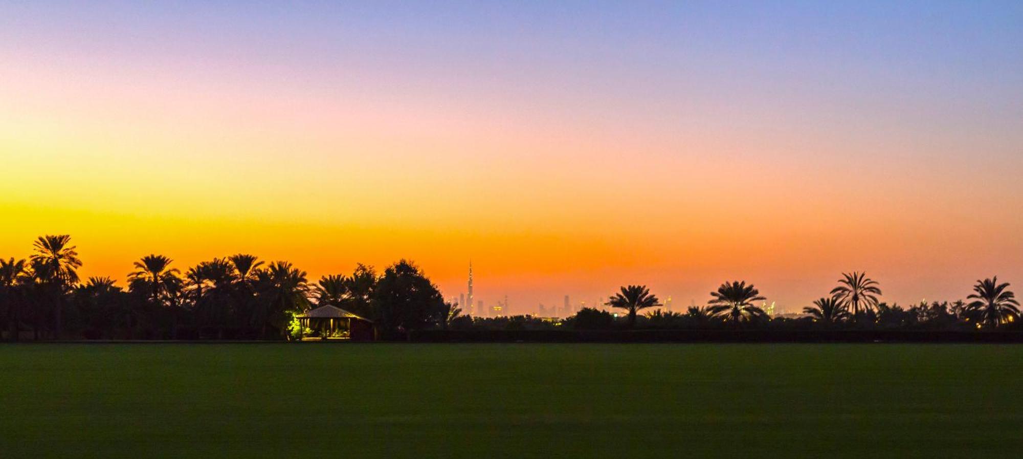 Melia Desert Palm Member Of Melia Collection Hotel 5*