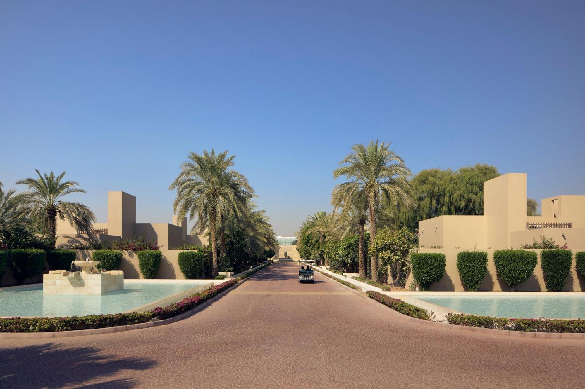 Melia Desert Palm Member Of Melia Collection