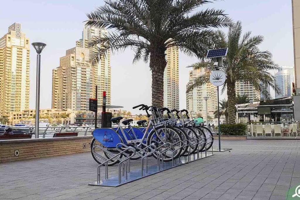 Skyview Haven 2br & Ocean Breeze