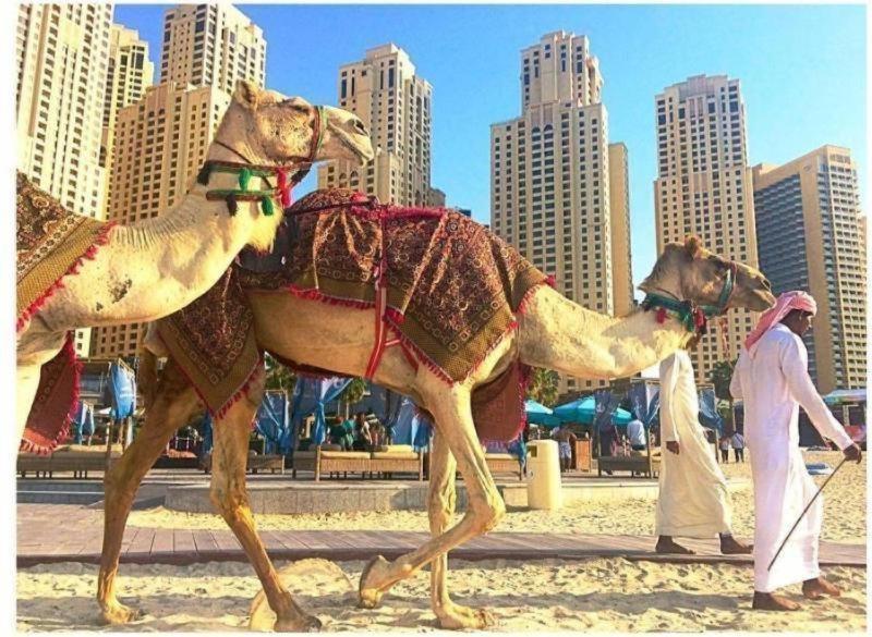 Luxury In Marina * Dubai