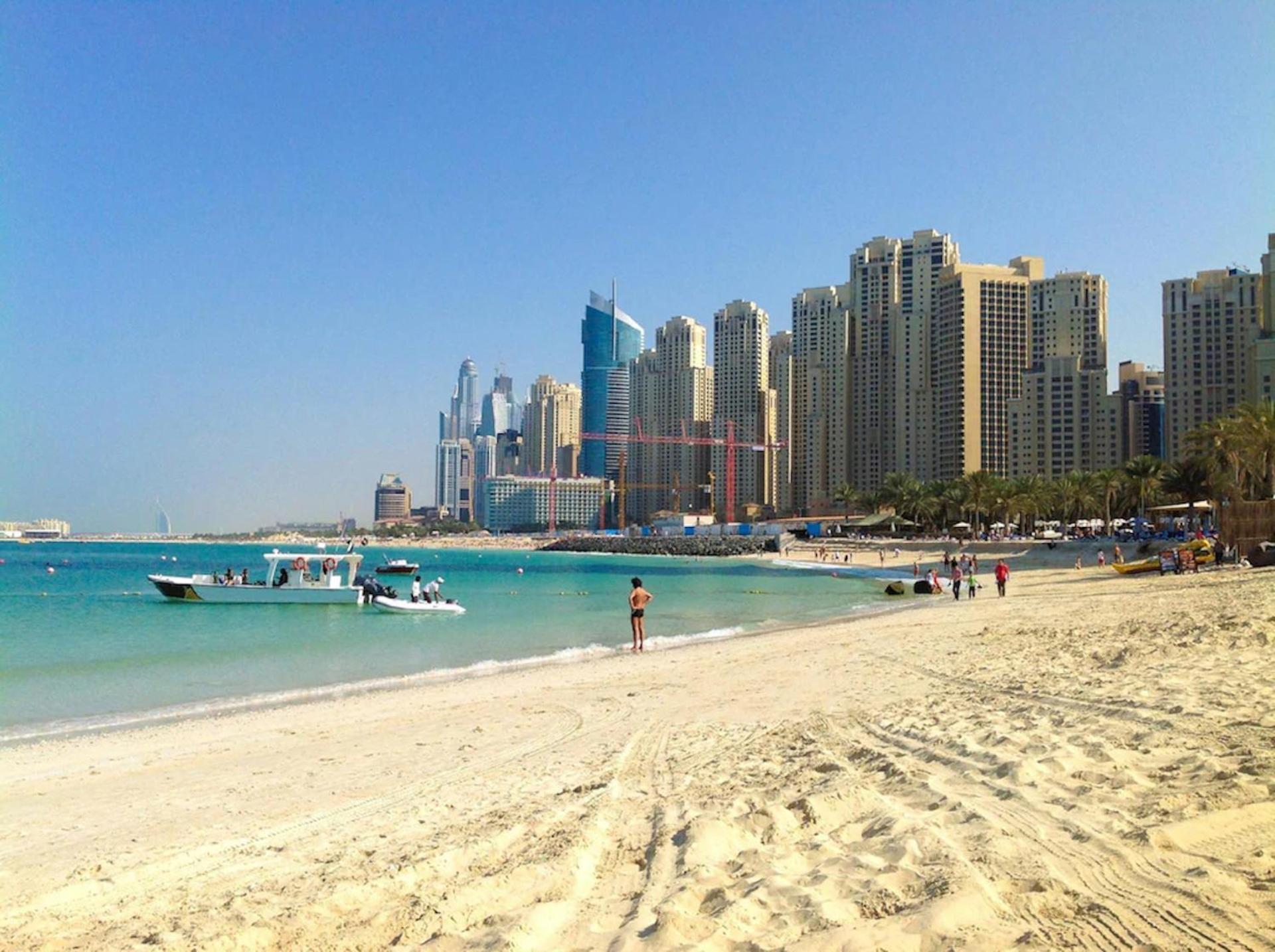 Urban Panda Jbr