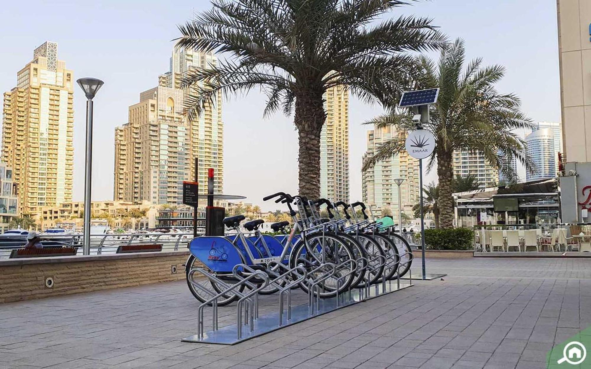 Albergue Urban Panda Jbr