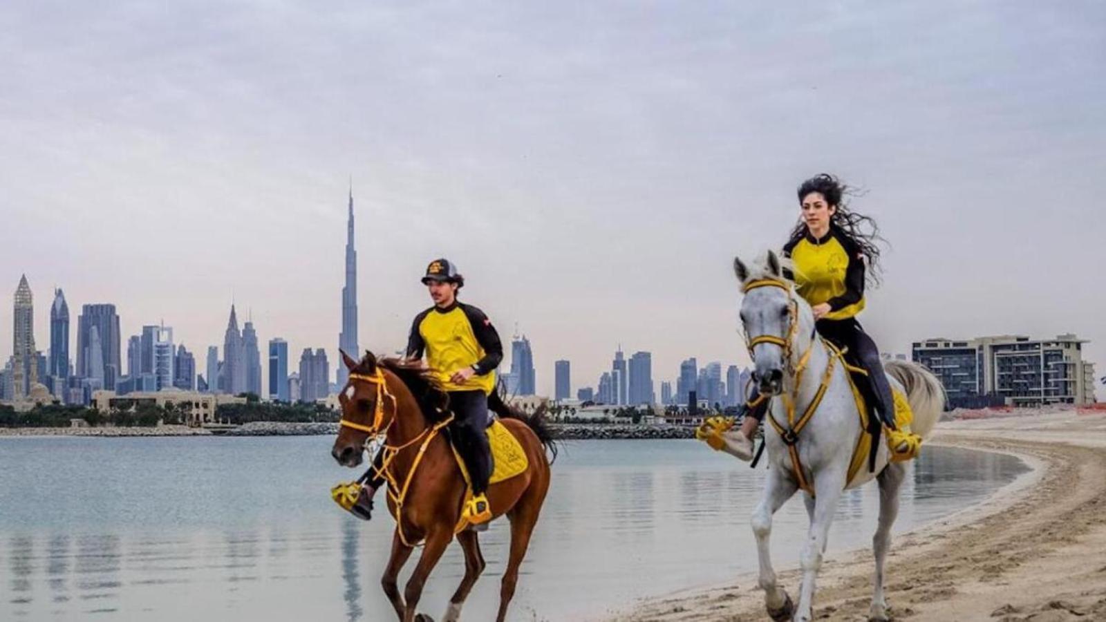 Albergue Urban Panda Jbr Dubai
