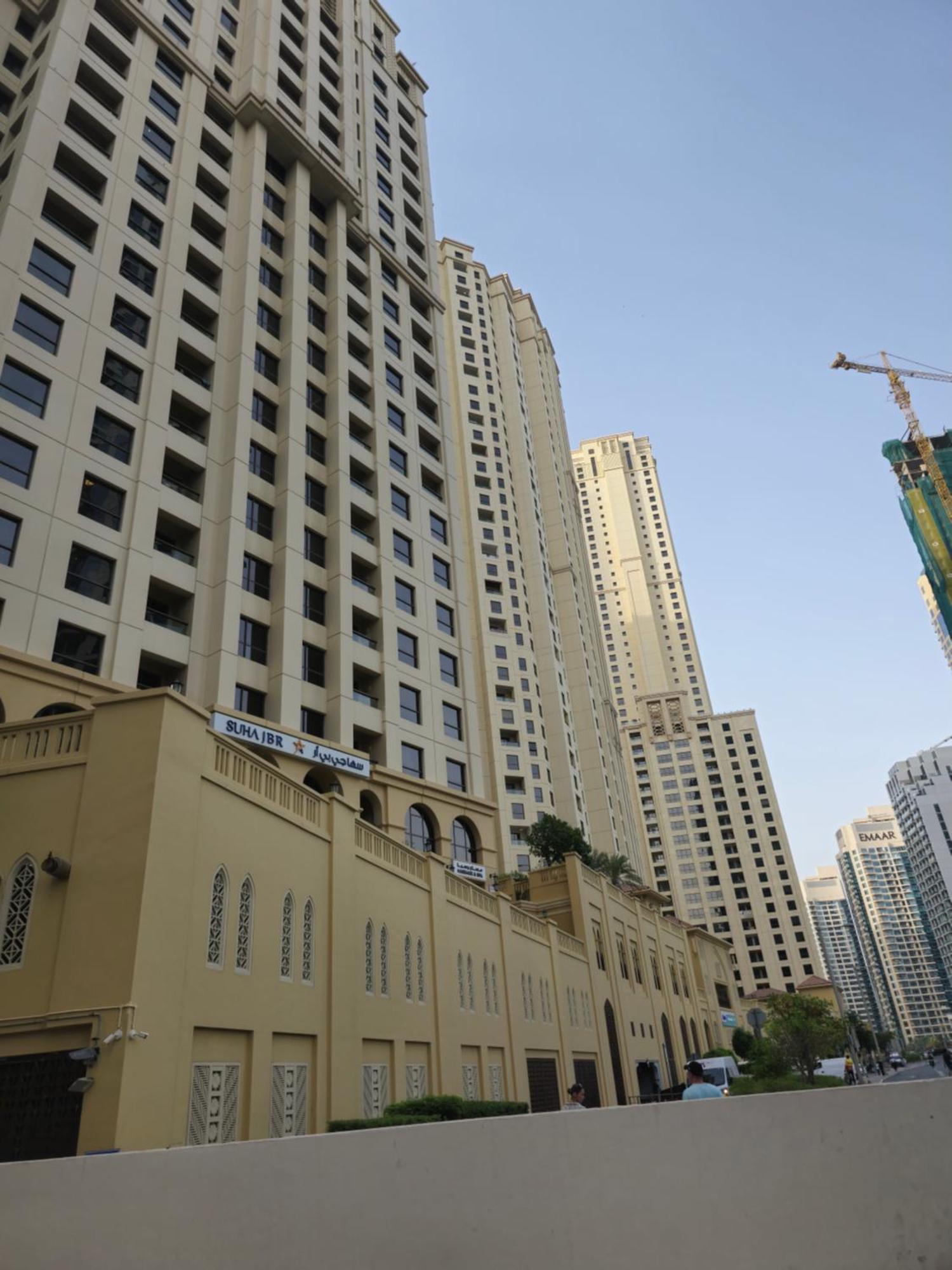 Urban Panda Jbr *