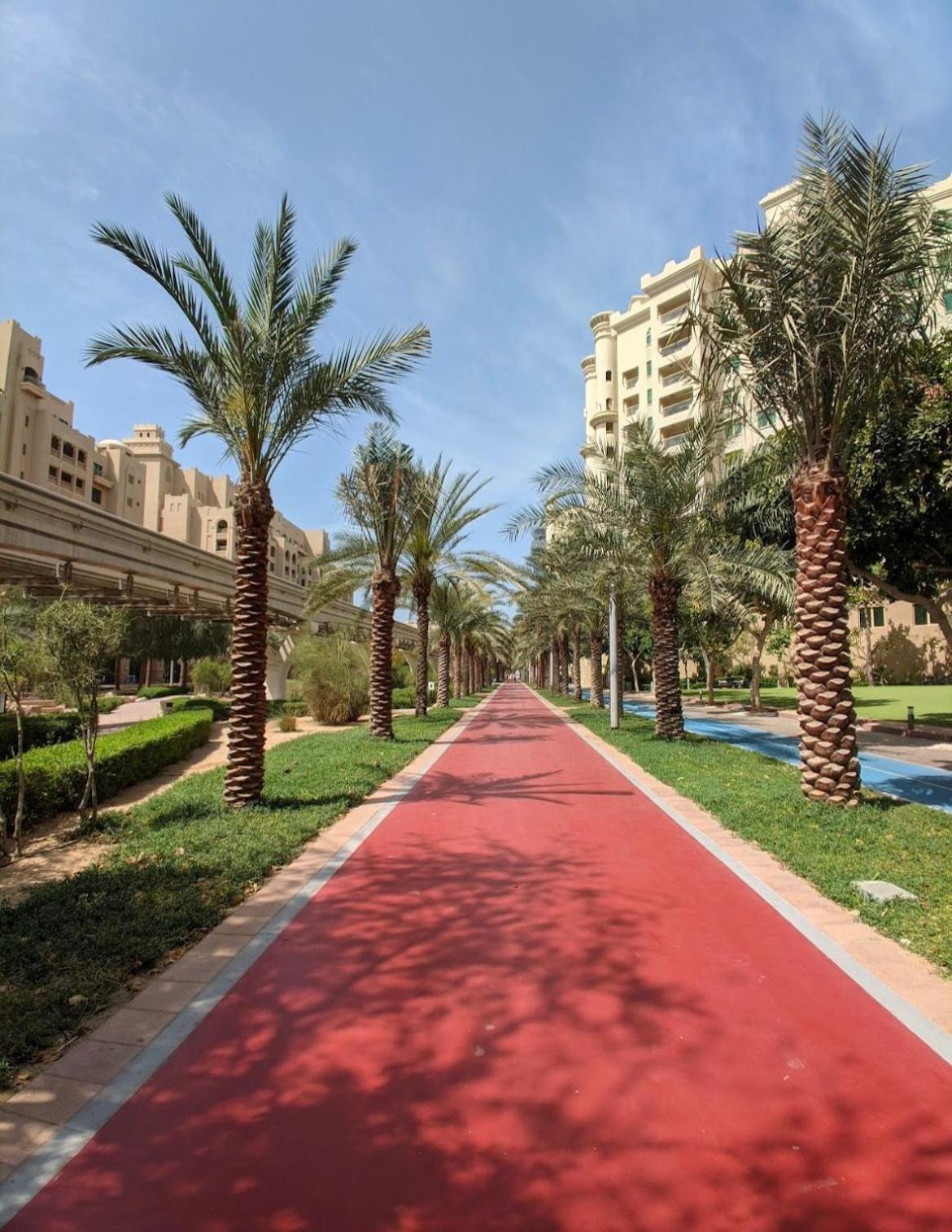 Lux Living On Palm Jumeirah With Pool & Access Daire