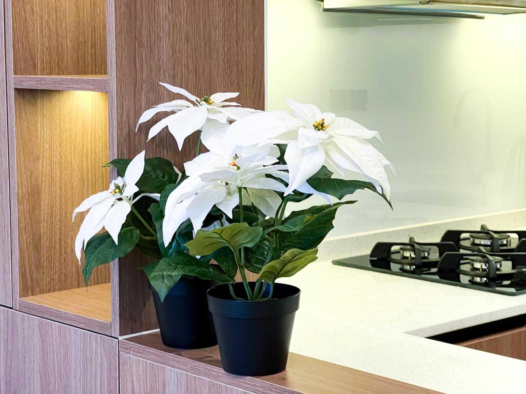 Apartment Stylish 1-bedroom Retreat In Prime Gardens , Arjan