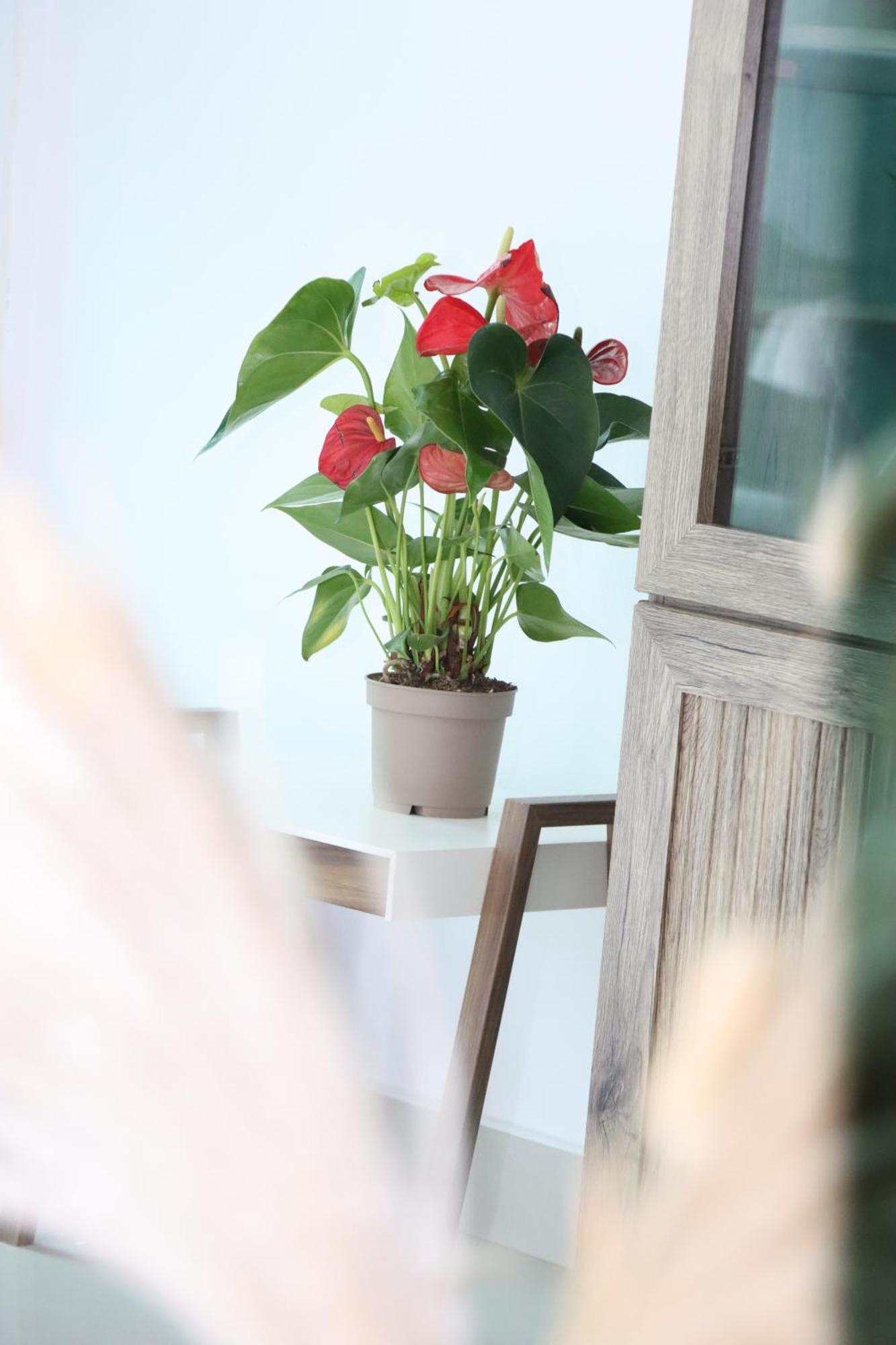 Vista Lavisha Vacation - Elegant 1bdr With Stunning Sea View And Partial Canal View Apartamento Dubai
