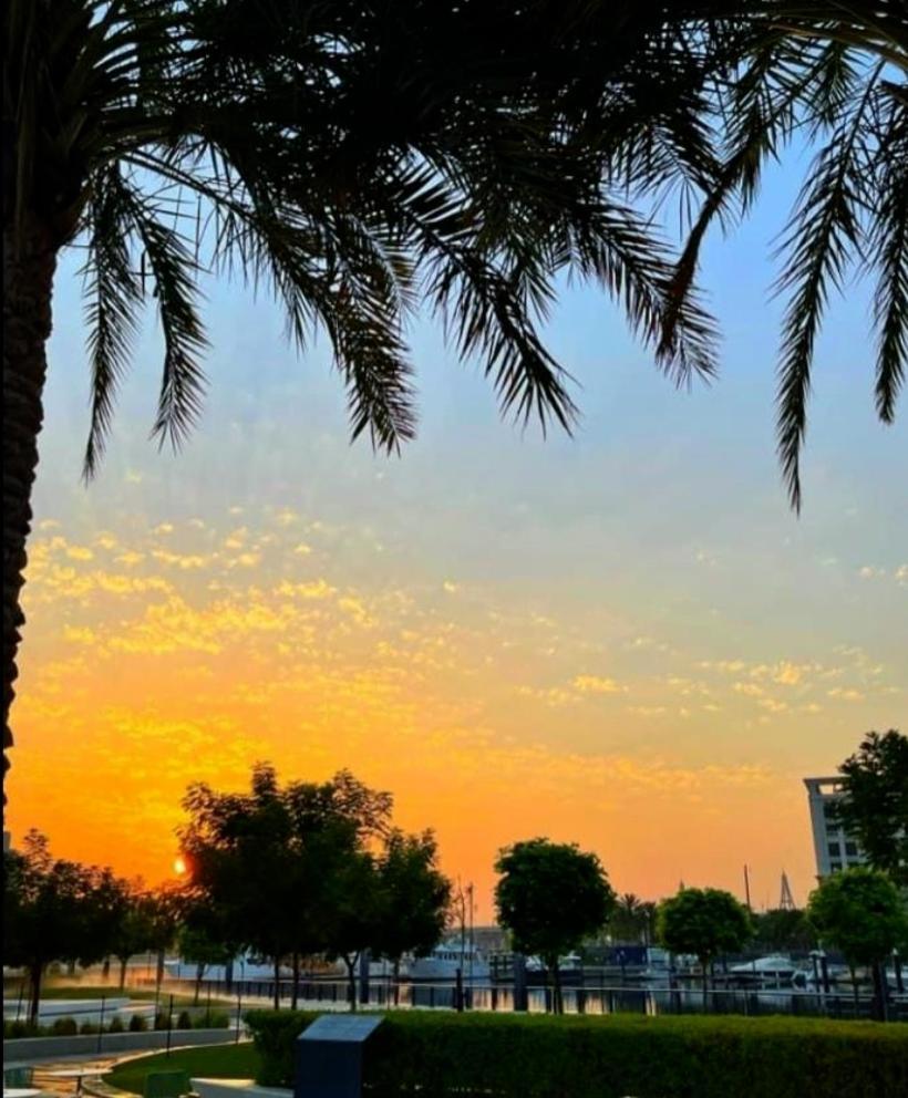 Chic 1br Iris Amber Al Jaddaf Apartment