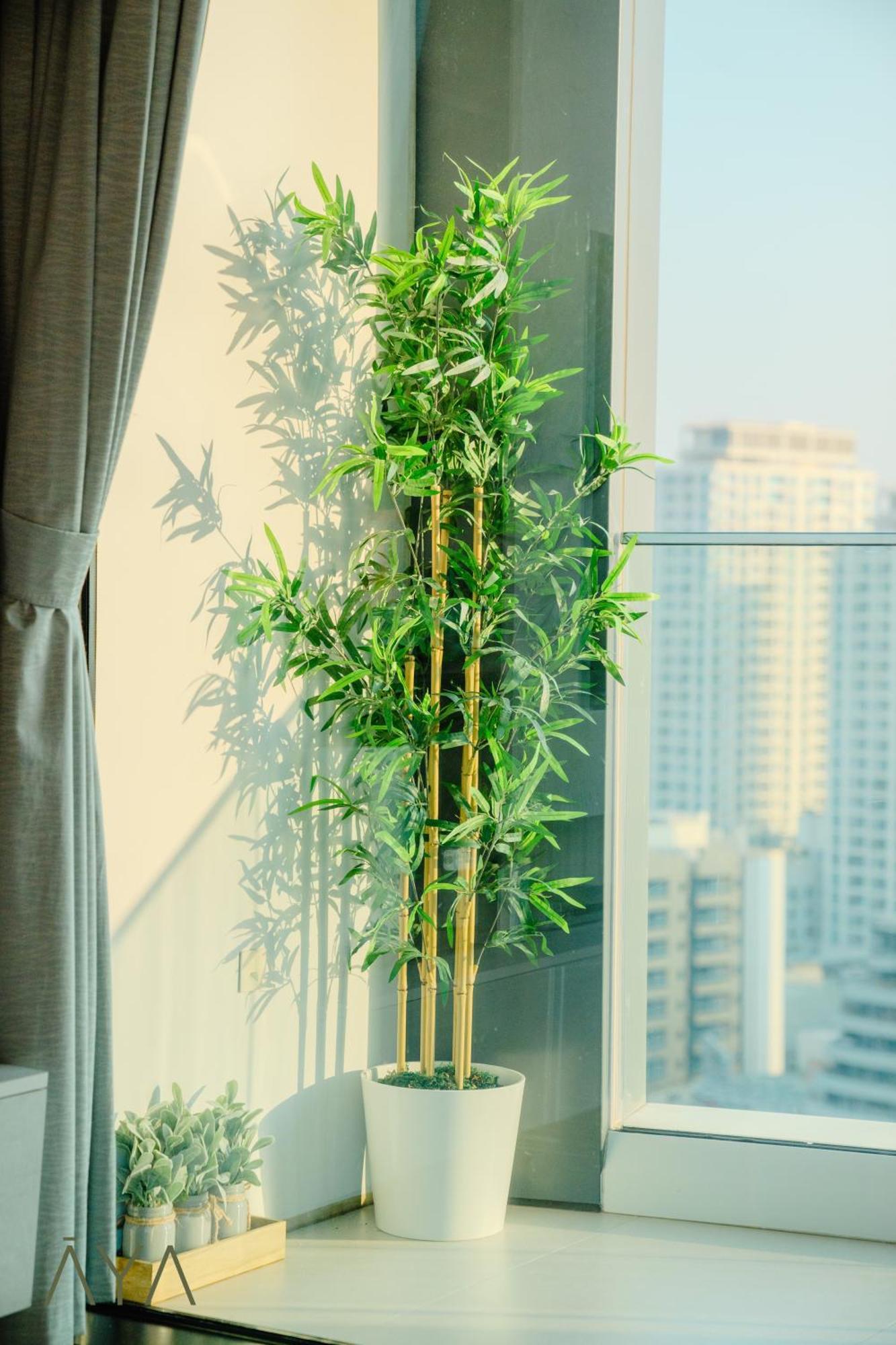 Luxury Beachfront 1br Jumeirah Gate Tower 1 Apartment *