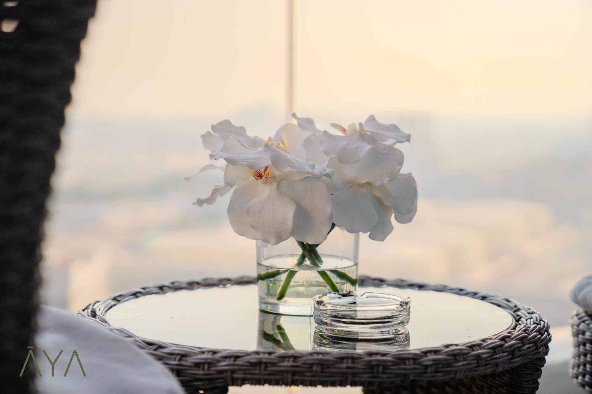 Luxury Beachfront 1br Jumeirah Gate Tower 1 * Dubai