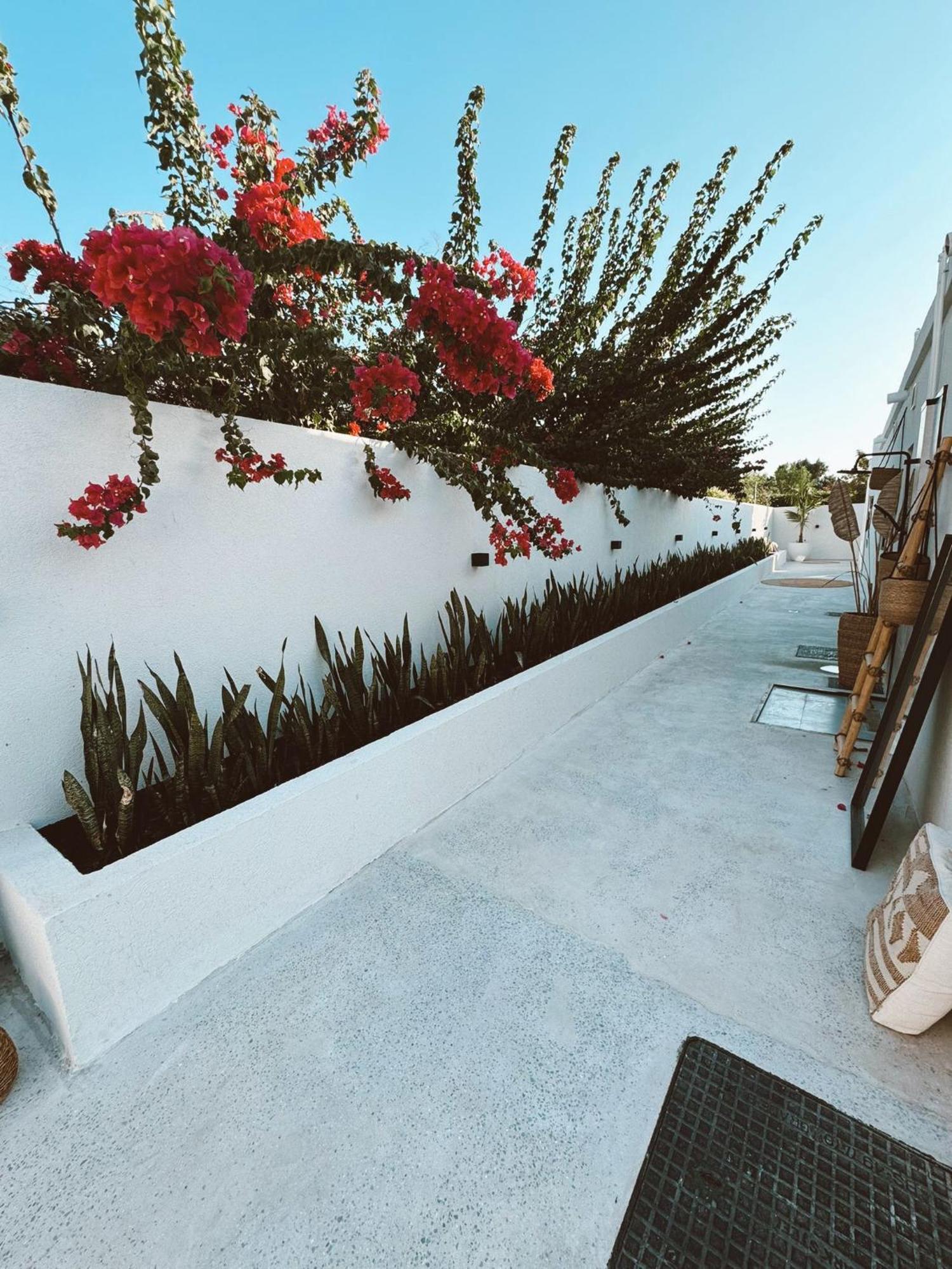 Luxury Boho Chic Beachside Escape, Shared Pool & Burj Khalifa View! Apartment *