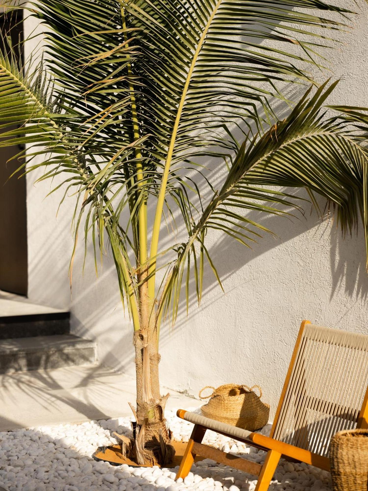 Luxury Boho Chic Beachside Escape, Shared Pool & Burj Khalifa View! * Dubai