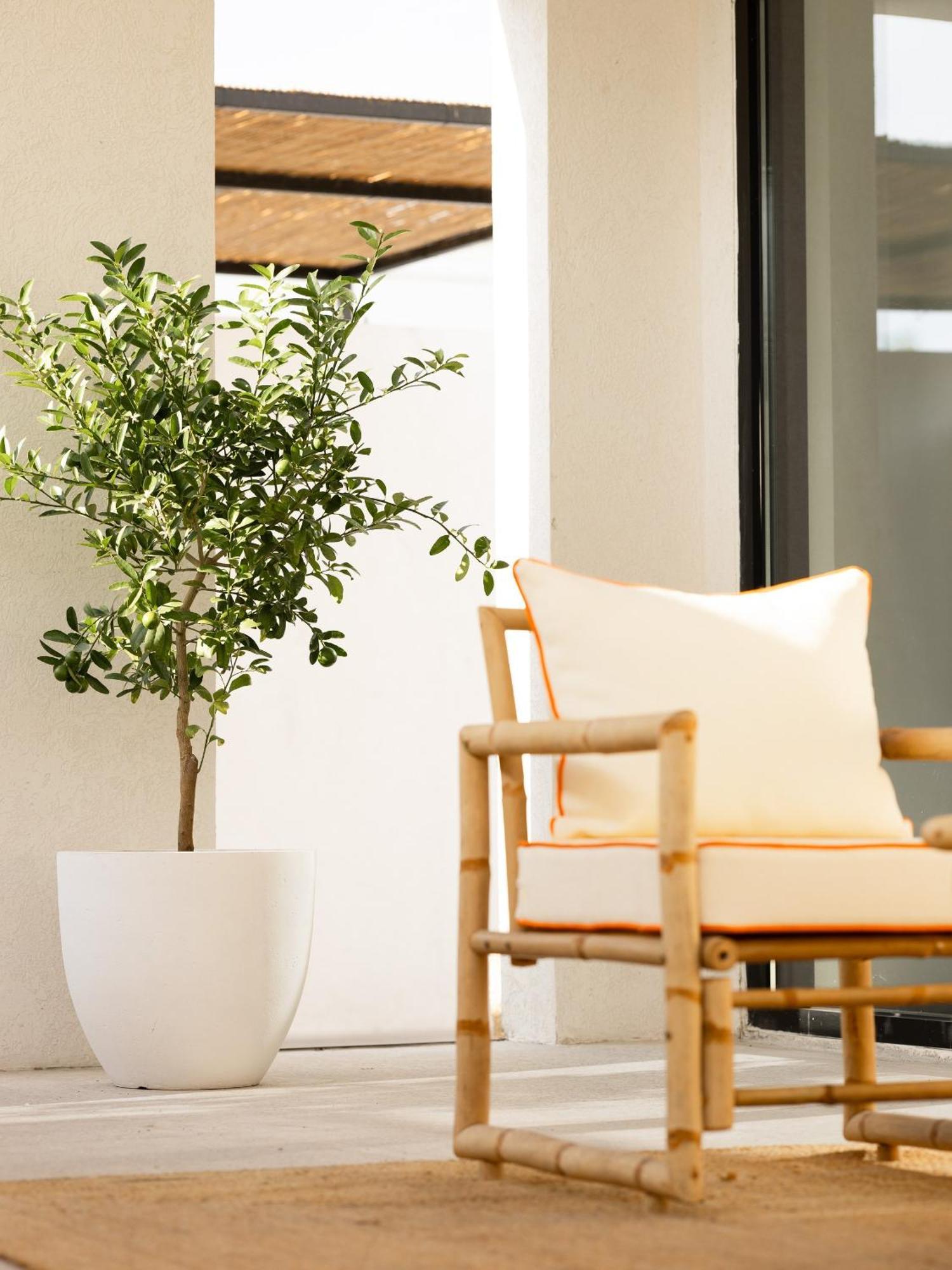 Luxury Boho Chic Beachside Escape, Shared Pool & Burj Khalifa View! Apartment