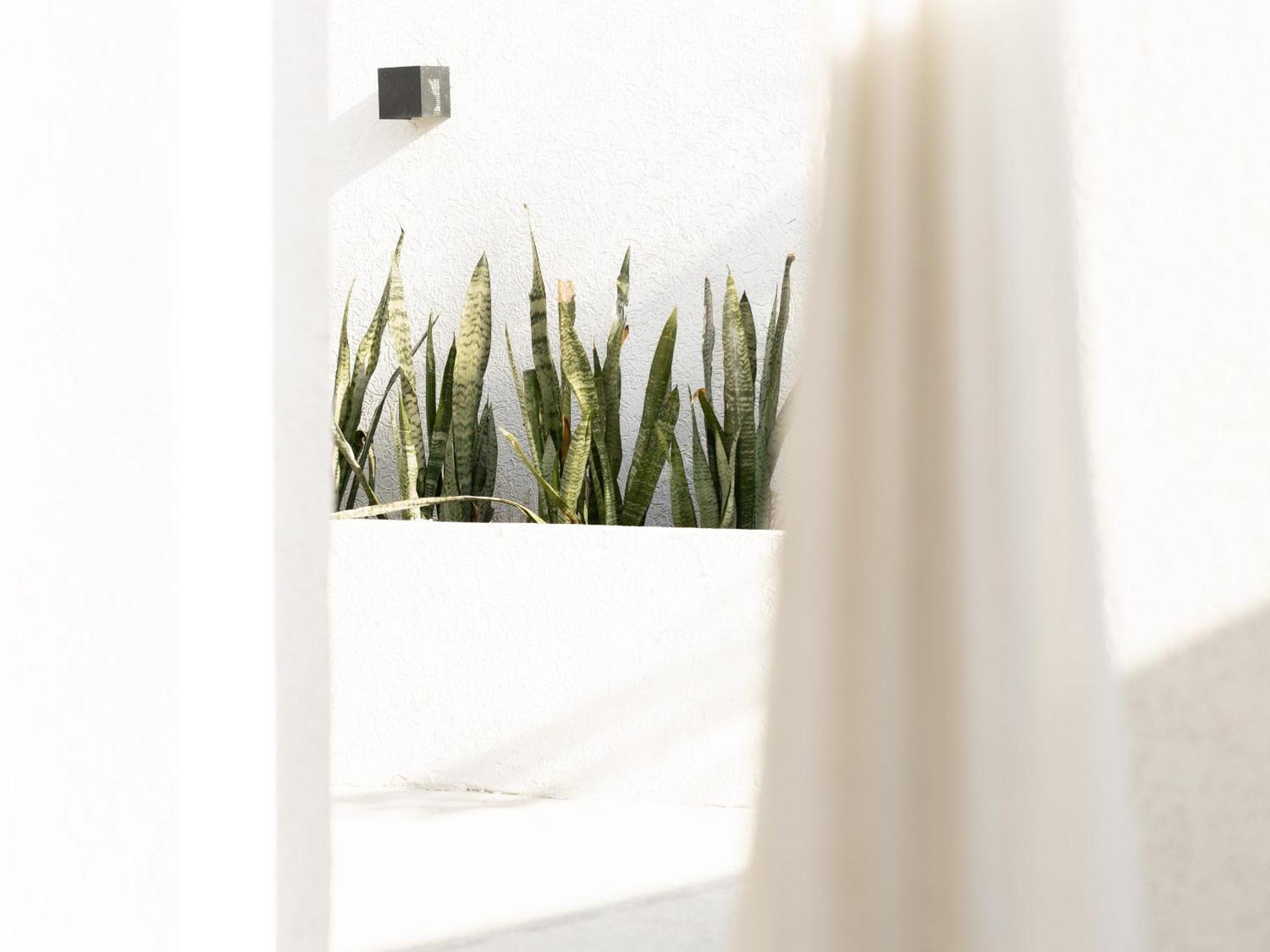 Apartment Luxury Boho Chic Beachside Escape, Shared Pool & Burj Khalifa View! *