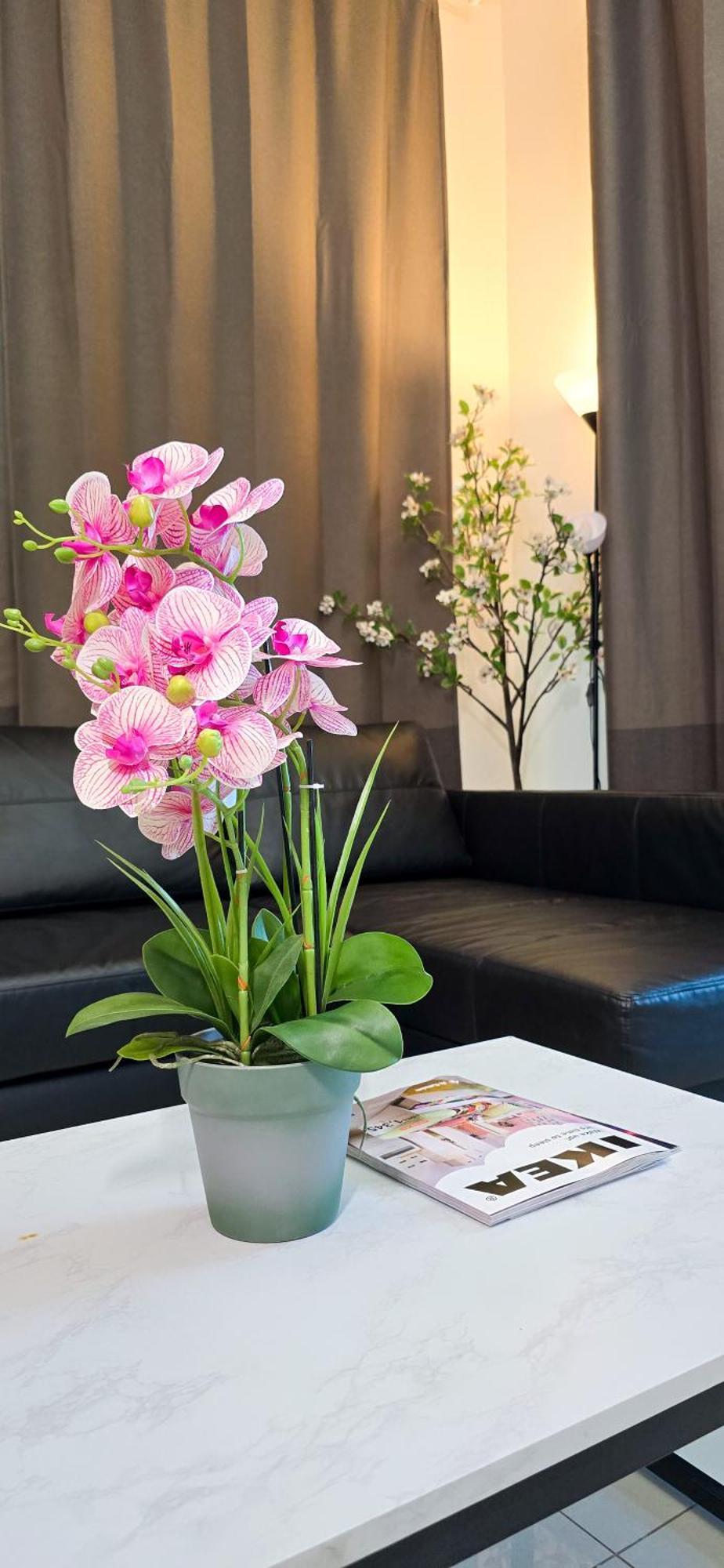 Rbc Fabulous View Near Mall Apartment Dubai