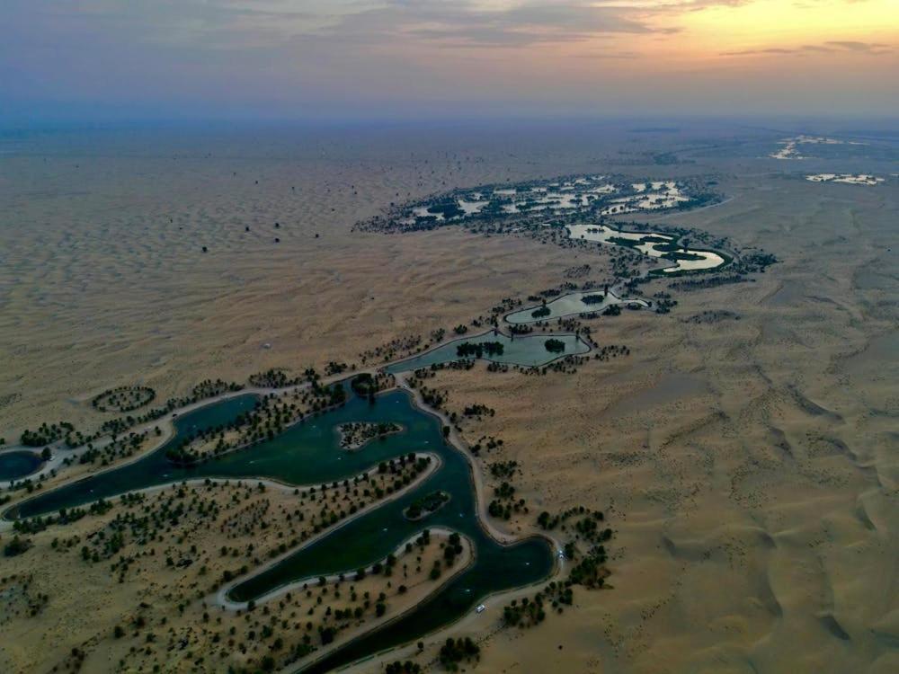 Al Damany Villa *
