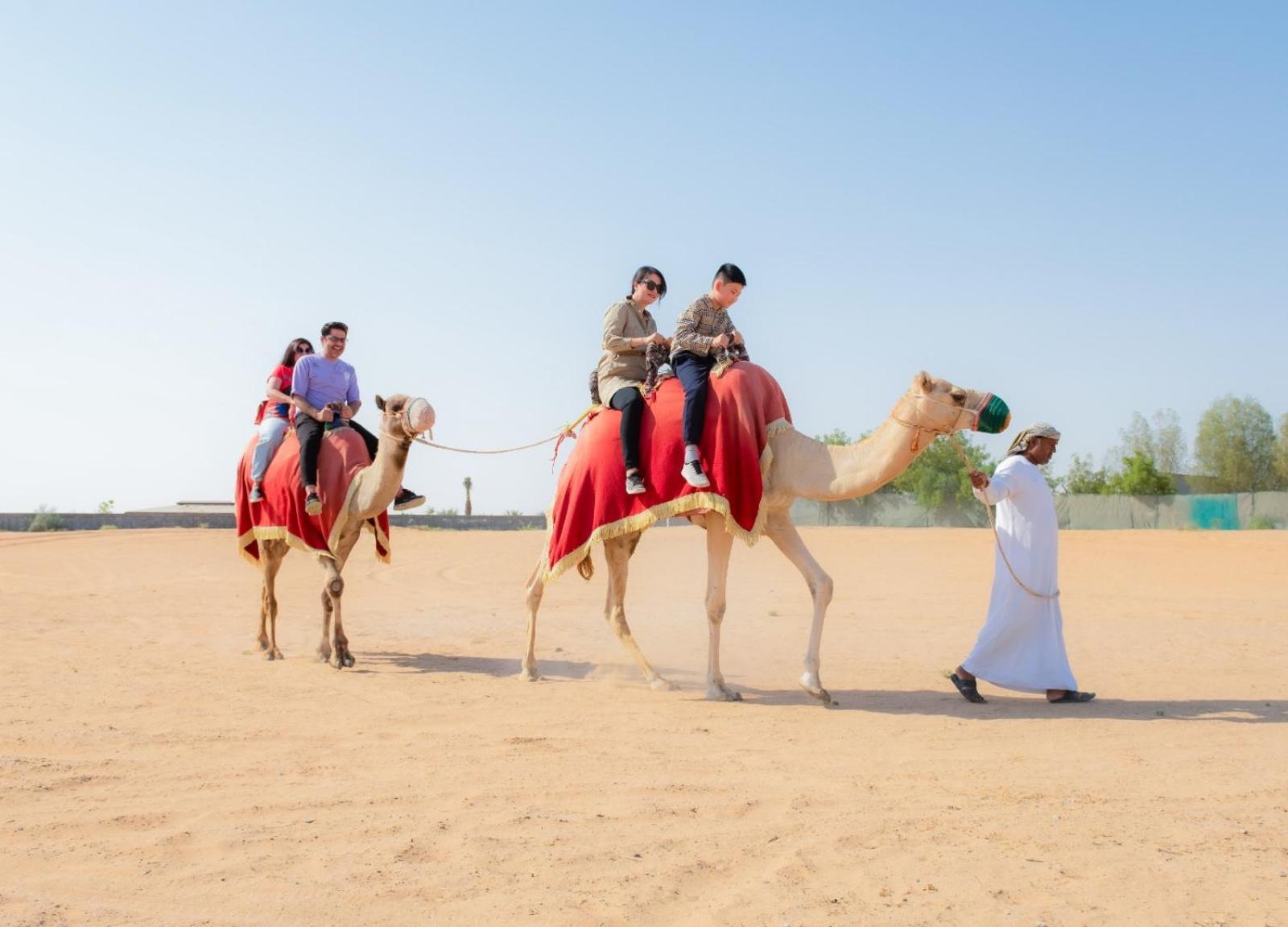 Al Damany Villa *