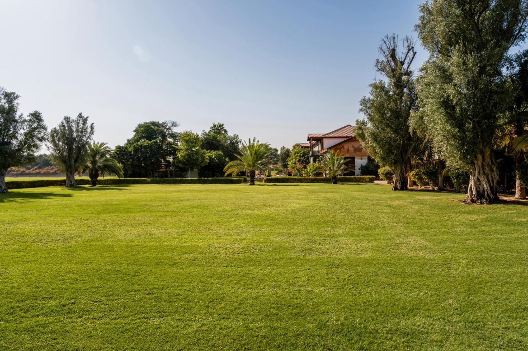 Melia Desert Palm Member Of Melia Collection 5* Dubai