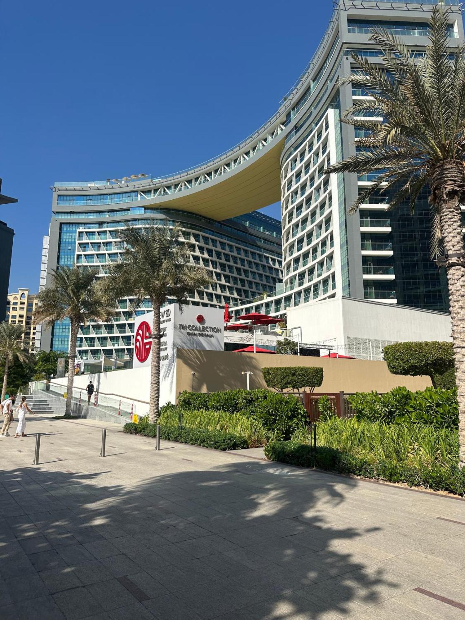 The Seven Palm