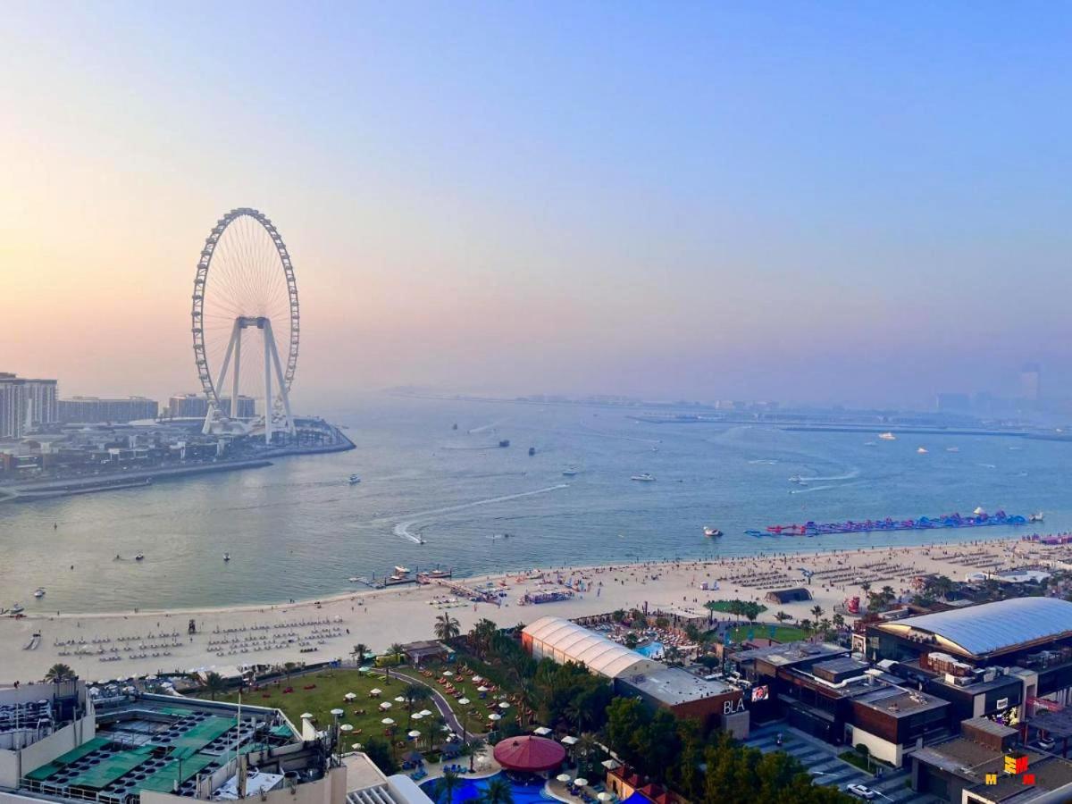 Amazing Views Eye & Palm