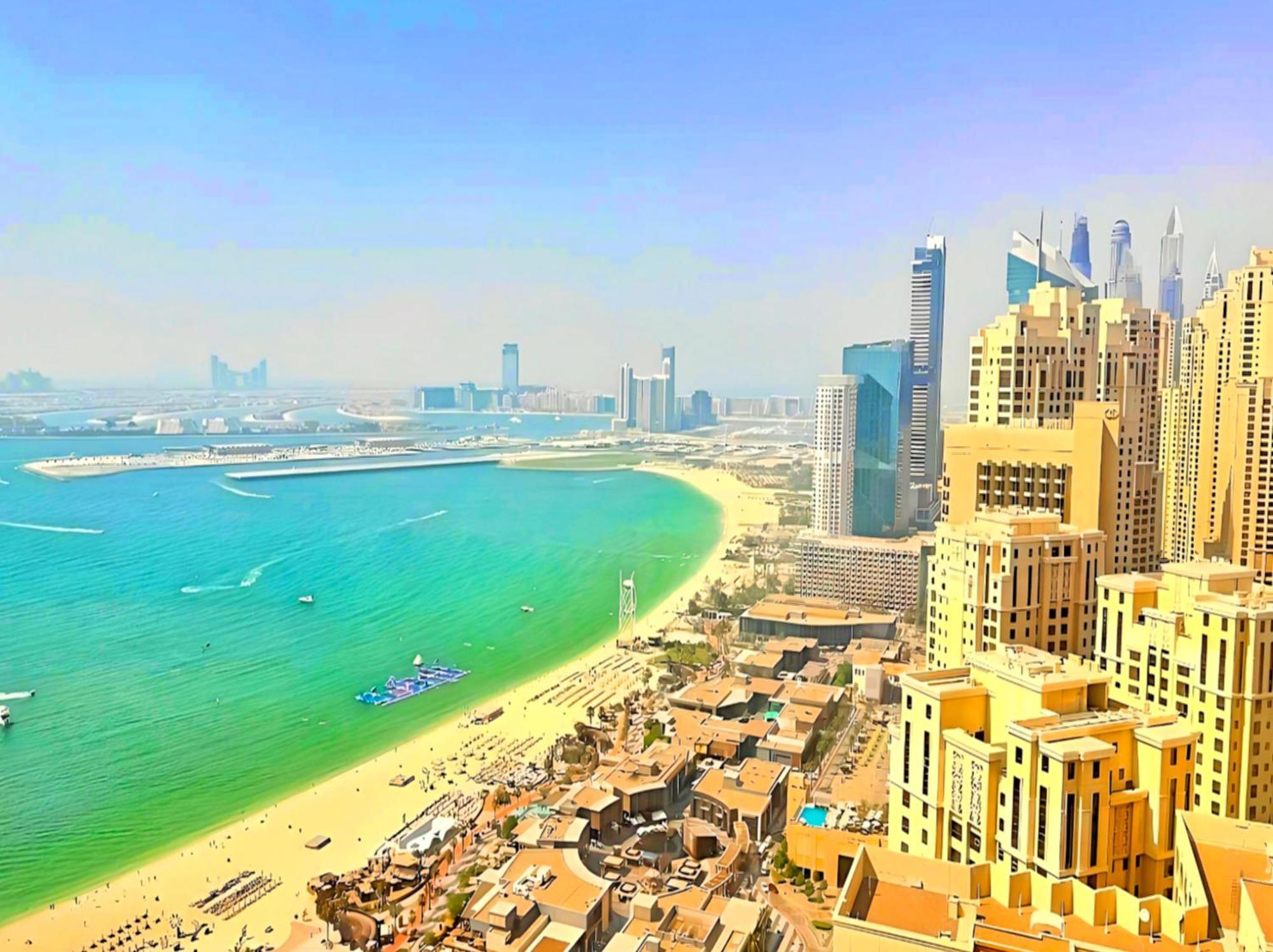Amazing Views Eye & Palm *