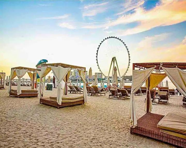 Amazing Views Eye & Palm