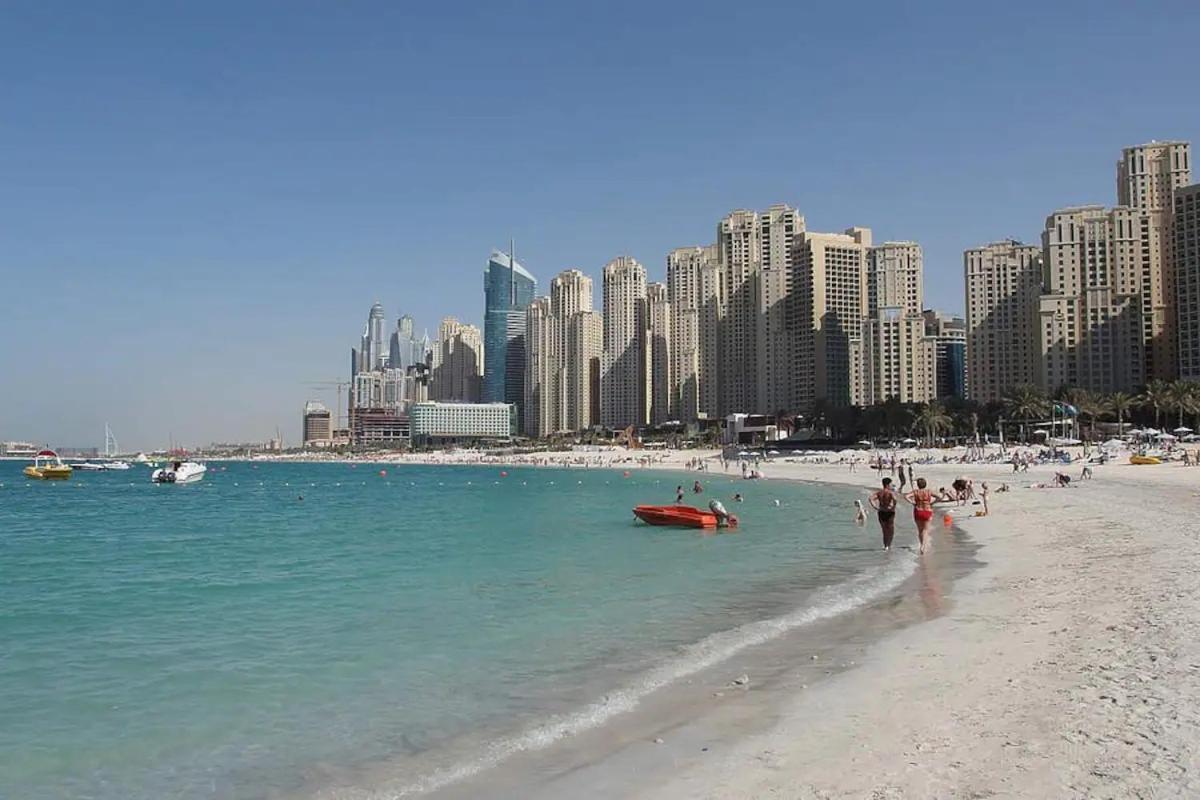 Amazing Views Eye & Palm Apartment