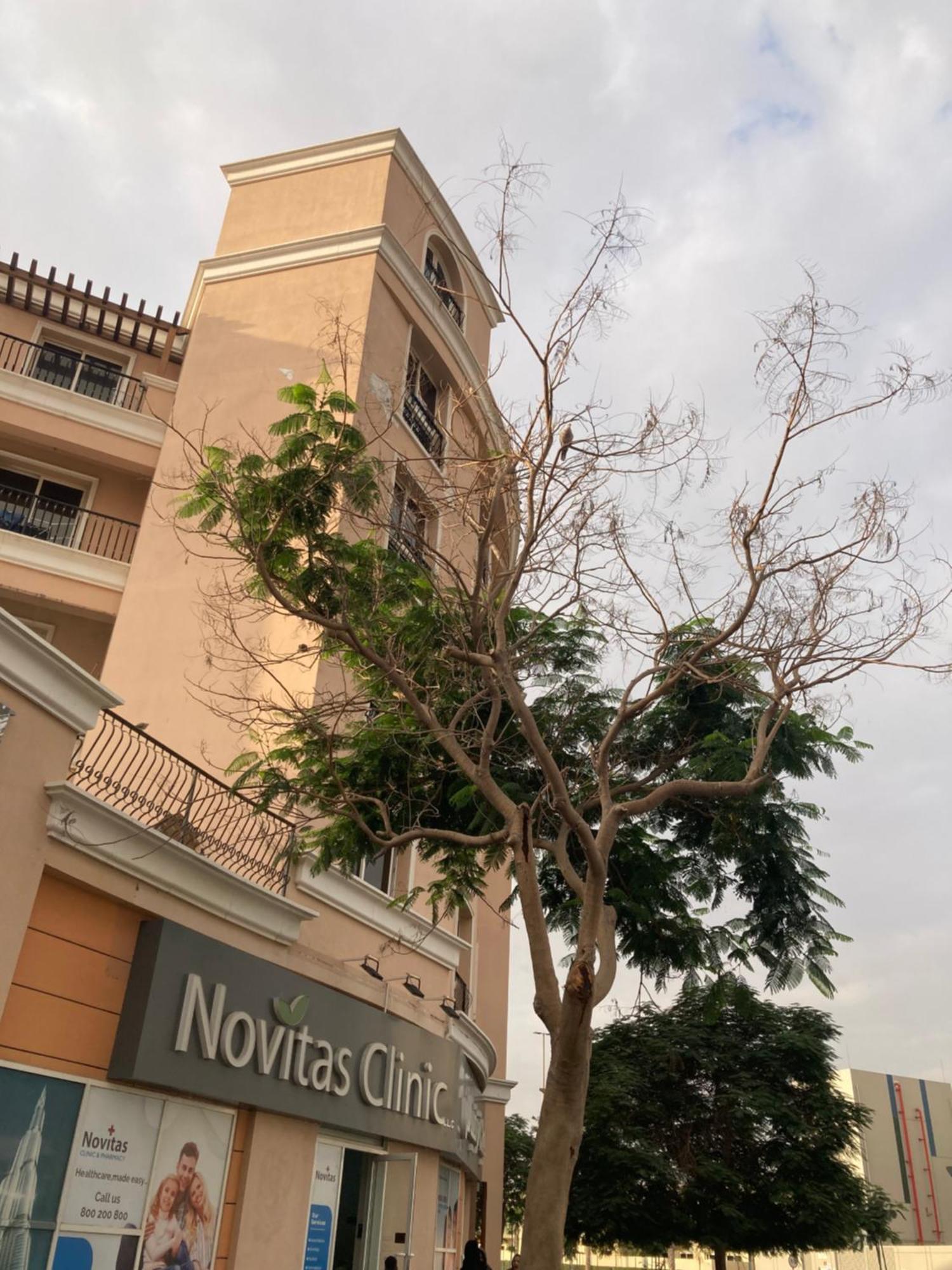 Style Of Liter&art Apt-with Free Exclusive Parking Apartment Dubai