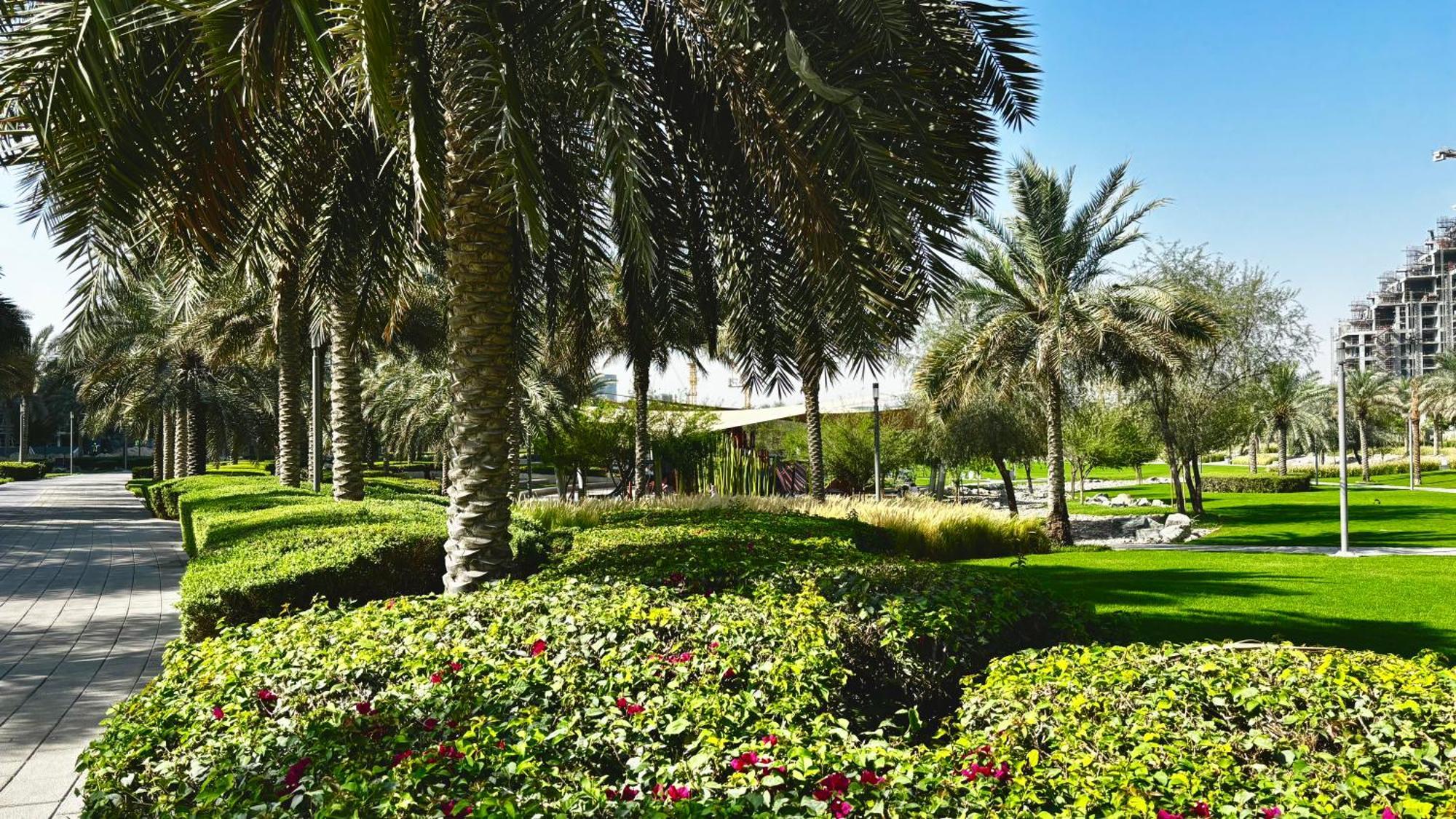 Enjoy A Modern And Trendy Apartment In The Heart Of Dubai Apartment *