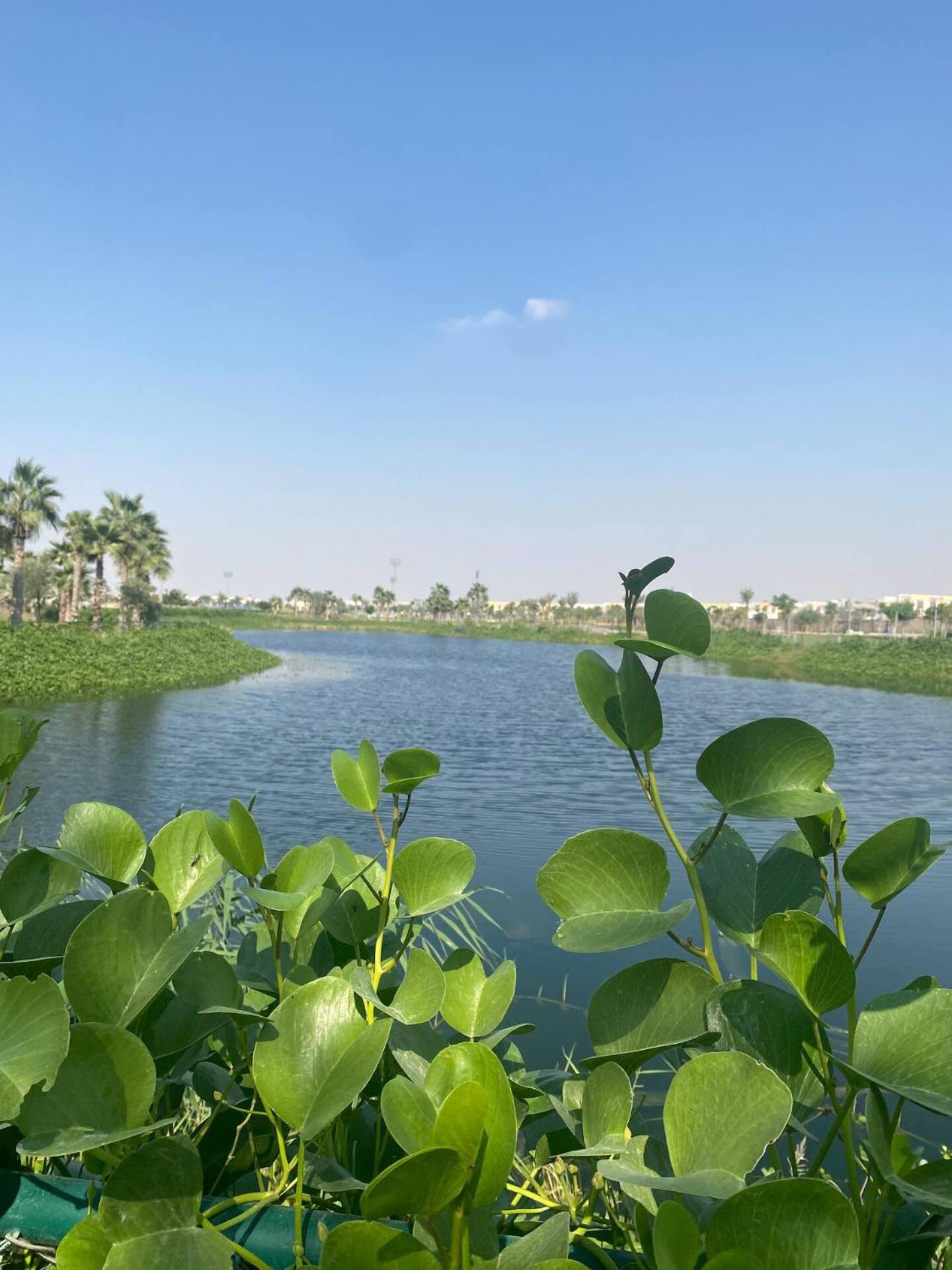 Victoria Damac Hills 2 Family Retreat With Waterpark And Petting Farm Pousada *