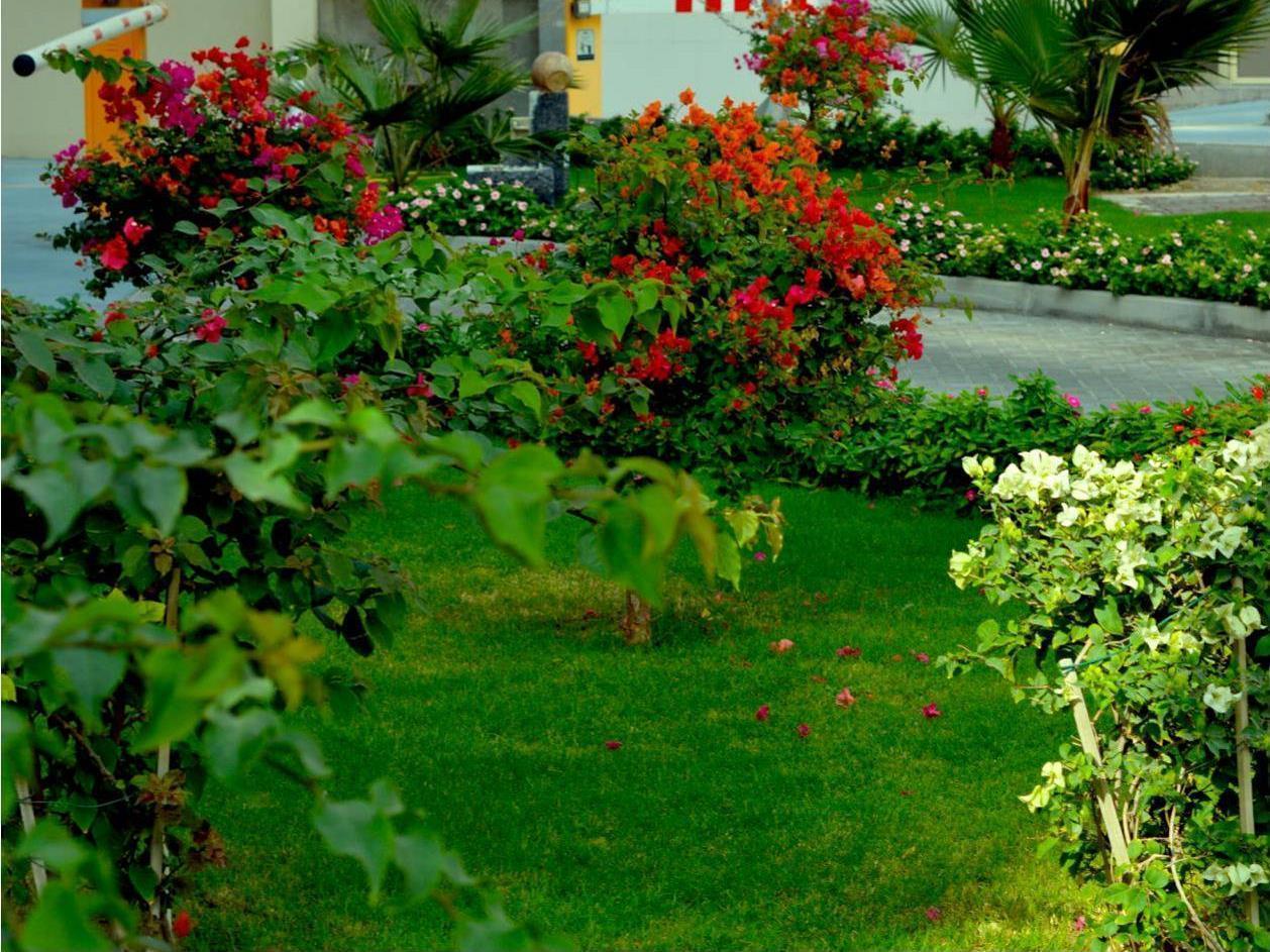 To Aparthotel 3*