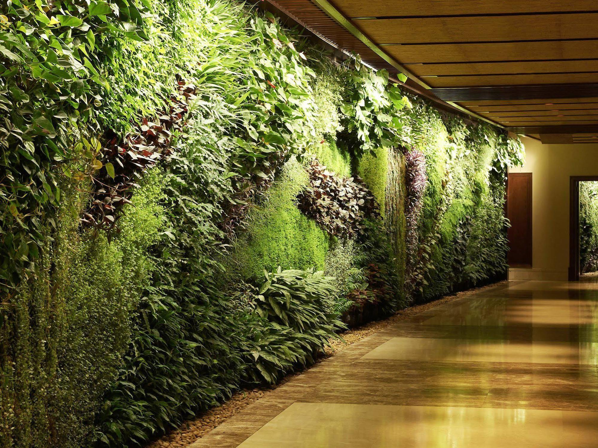 Sofitel Palm 5* Dubai