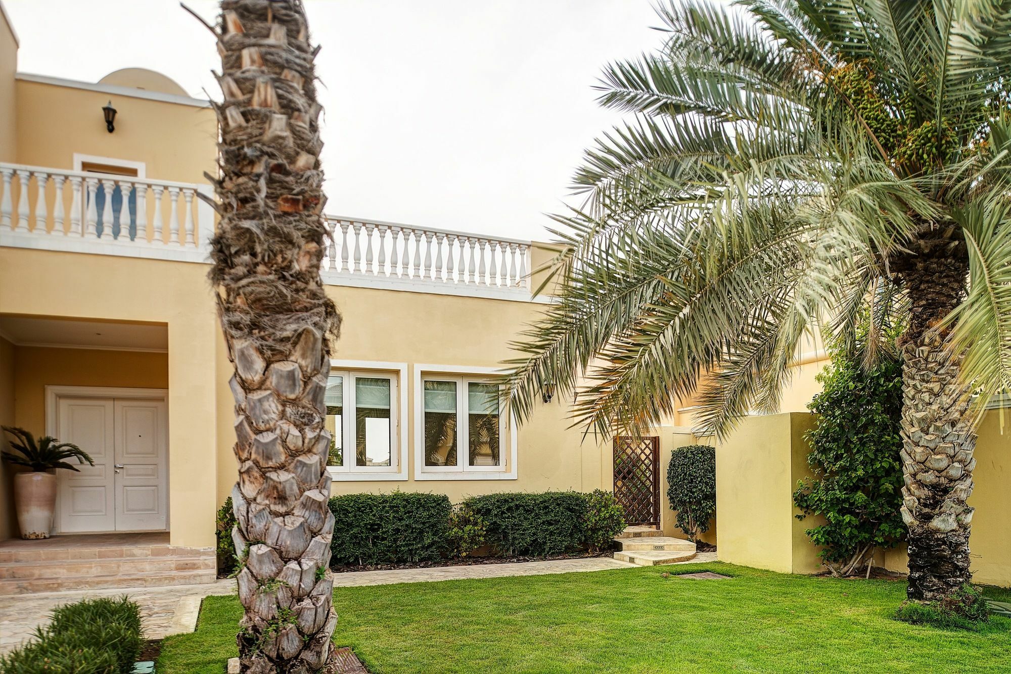 Inn Dream - Palm Frond E *