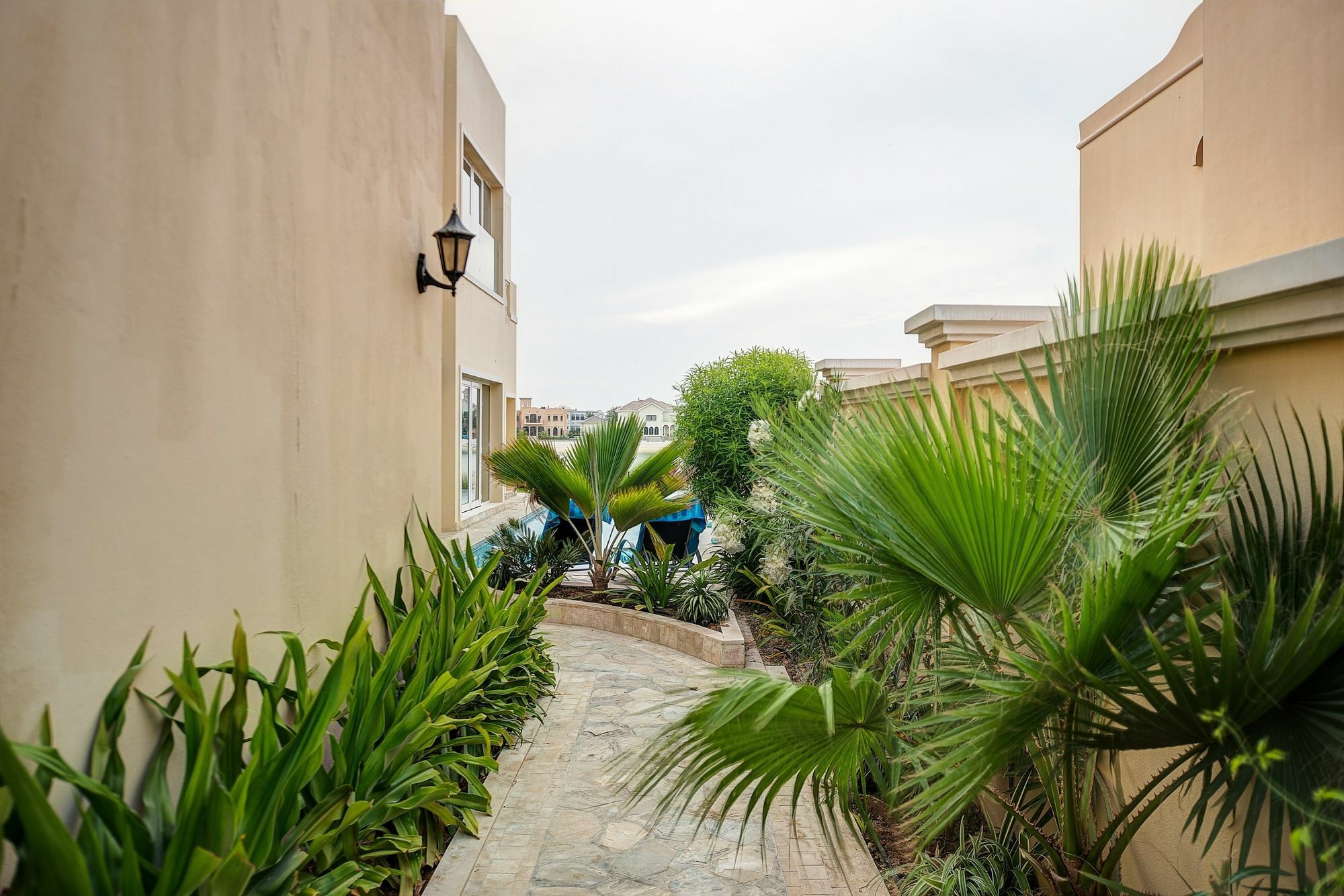 Inn Dream - Palm Frond E