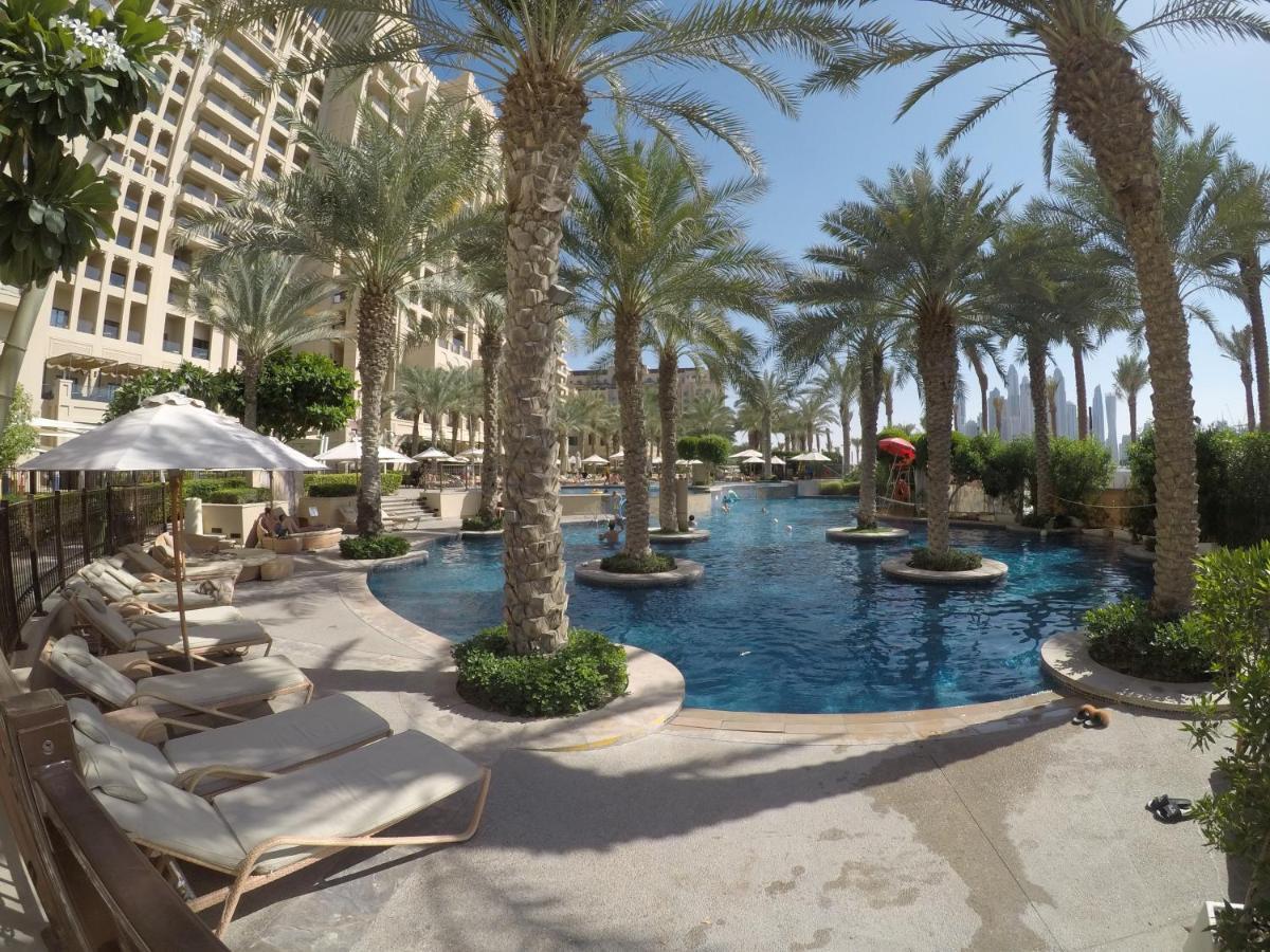 Spacious Family On The Palm Apartment