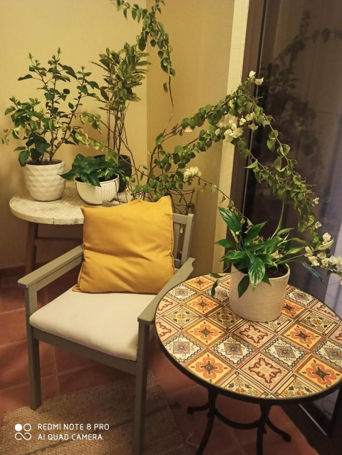 Sea View Apartment
