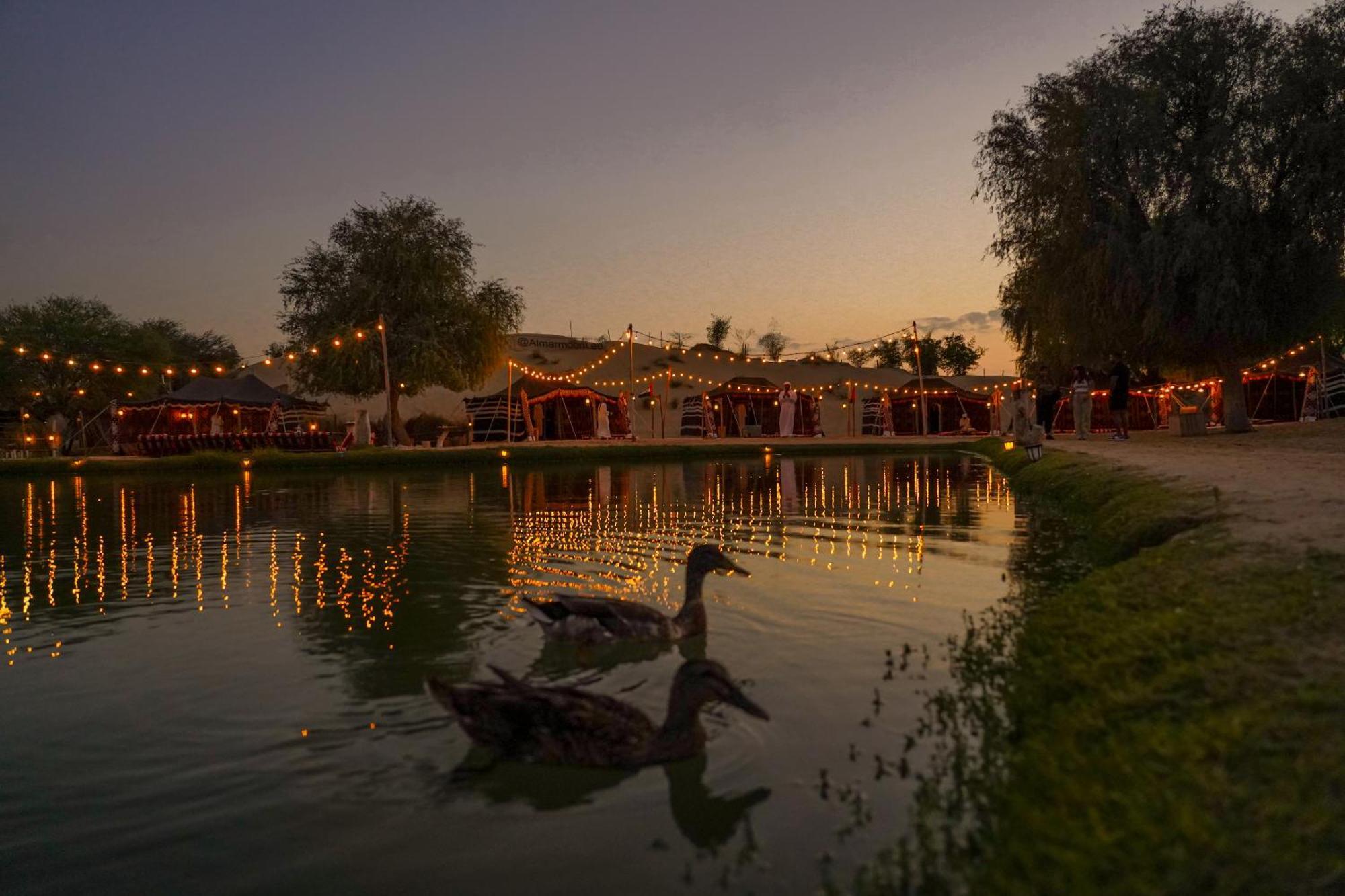 Luxury tent Al Marmoom Oasis Luxury Experiential Desert 5*