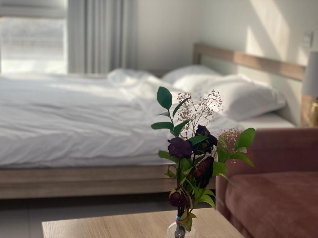 Daire Cute And Small Partitions For Girls In Dubai- Female Guests Only فتيات فقط Dubai