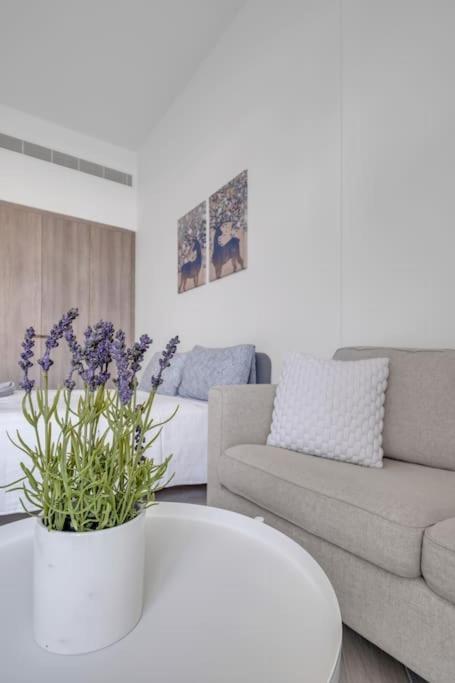 Apartment Stunning Pool View Studio In Jvc