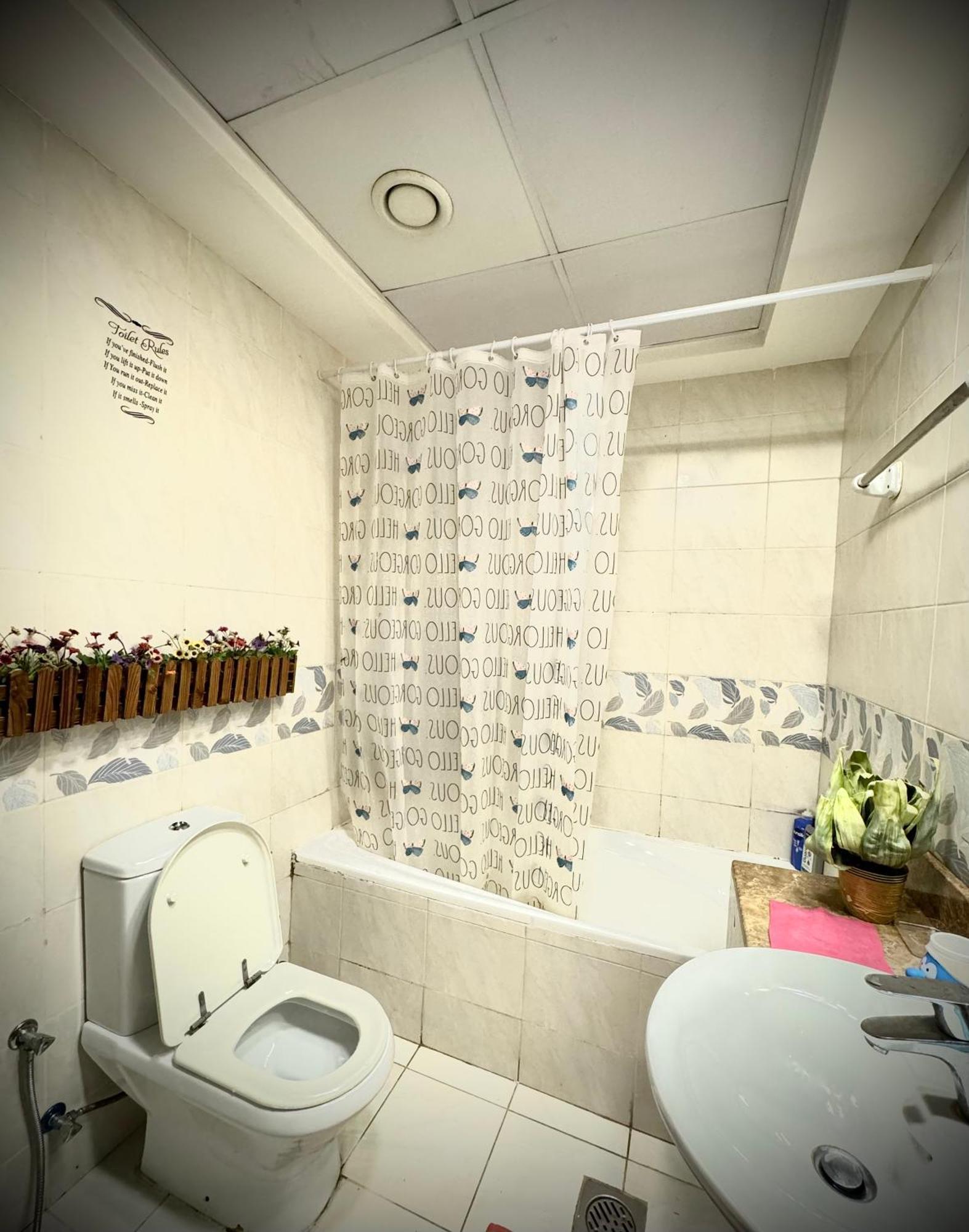 Backpackers Albergue