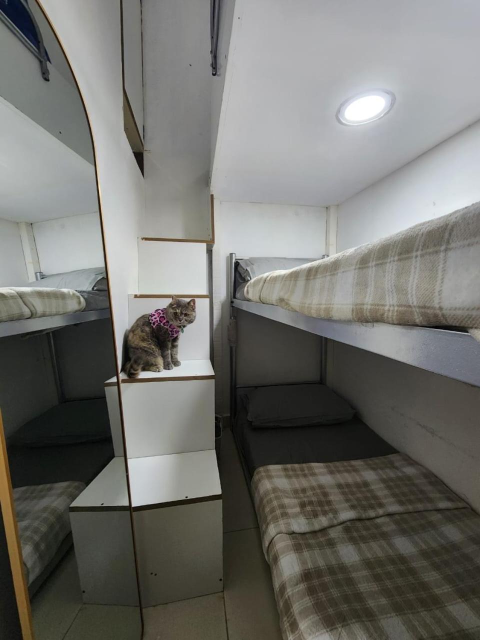 Al Barsha 1 Room, Capsule, Bedspace - For Female *