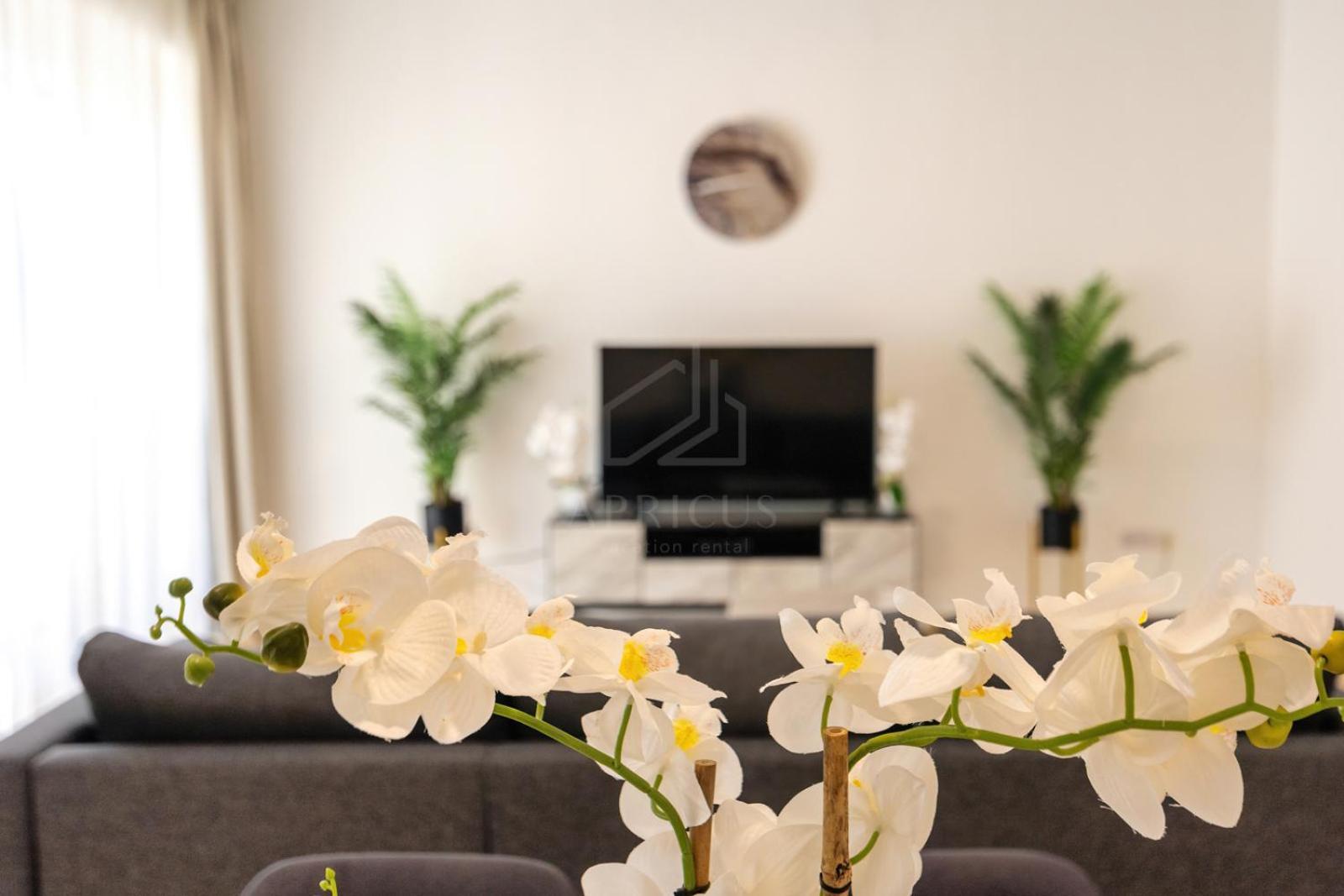 Apartment Brand New Rimal 2bd In Front Of The Jbr